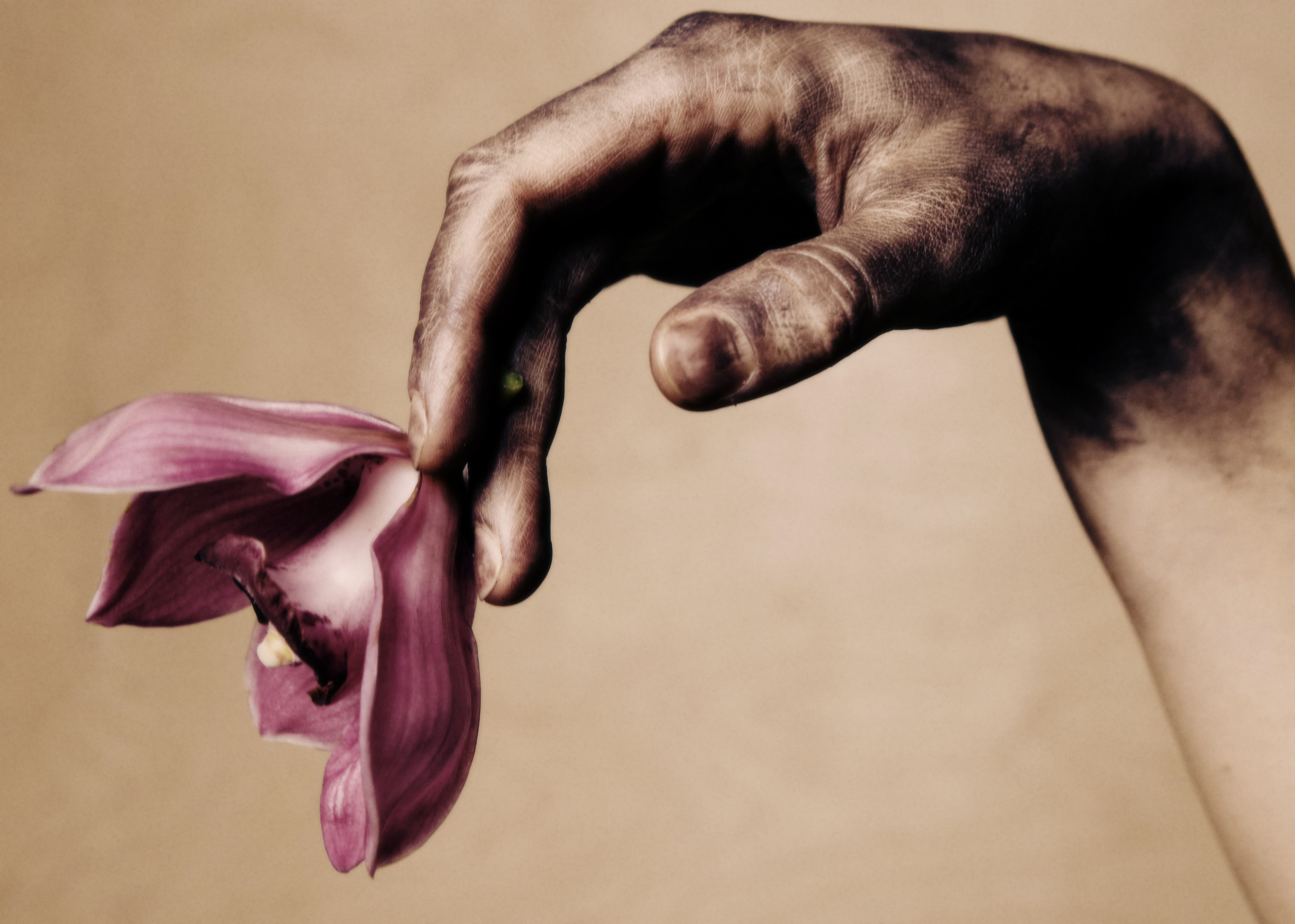 Nasty magazine: Meeting with the other. WORKS