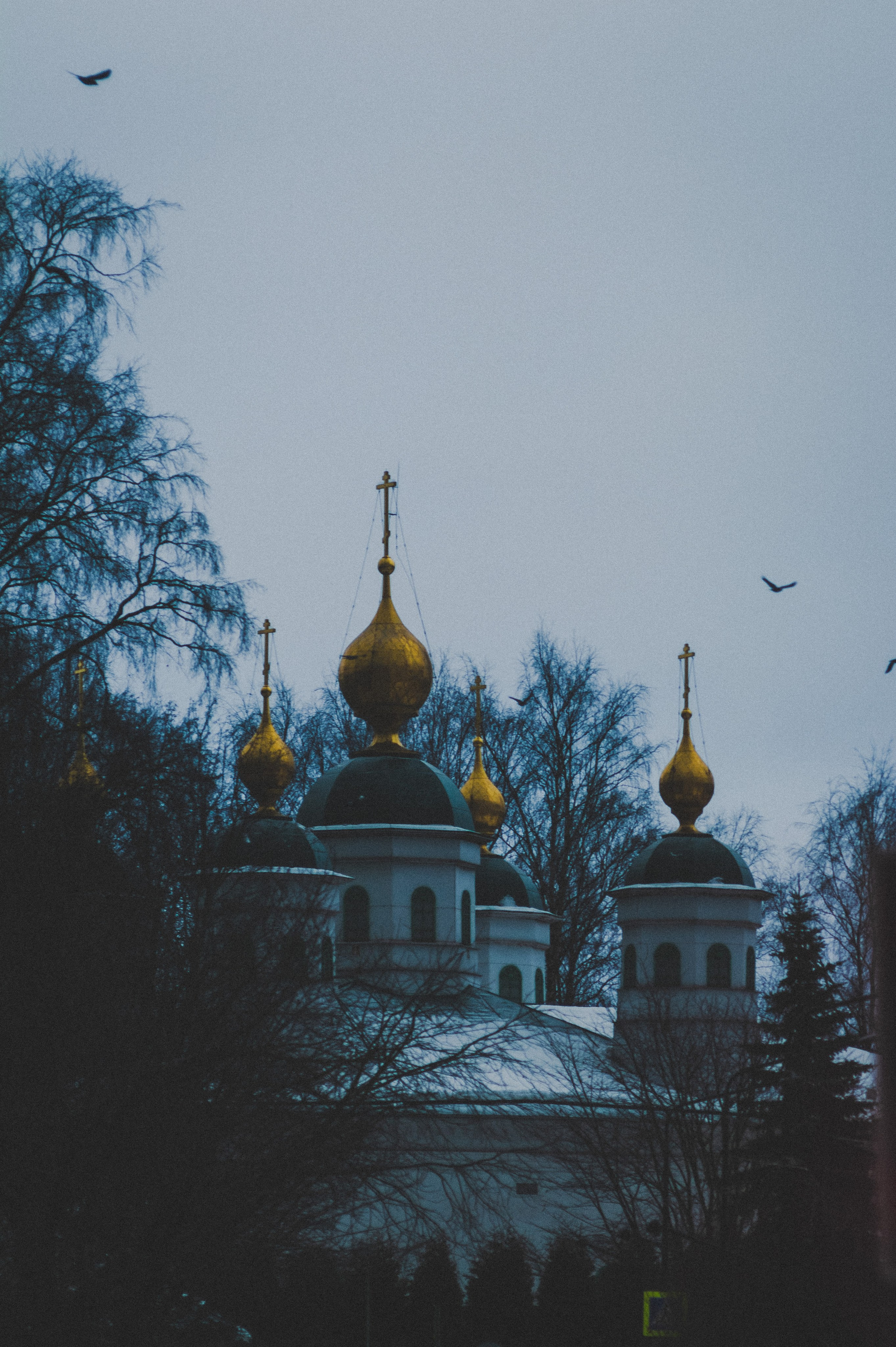 Colleague. Den Mirov — Photographer, Musician