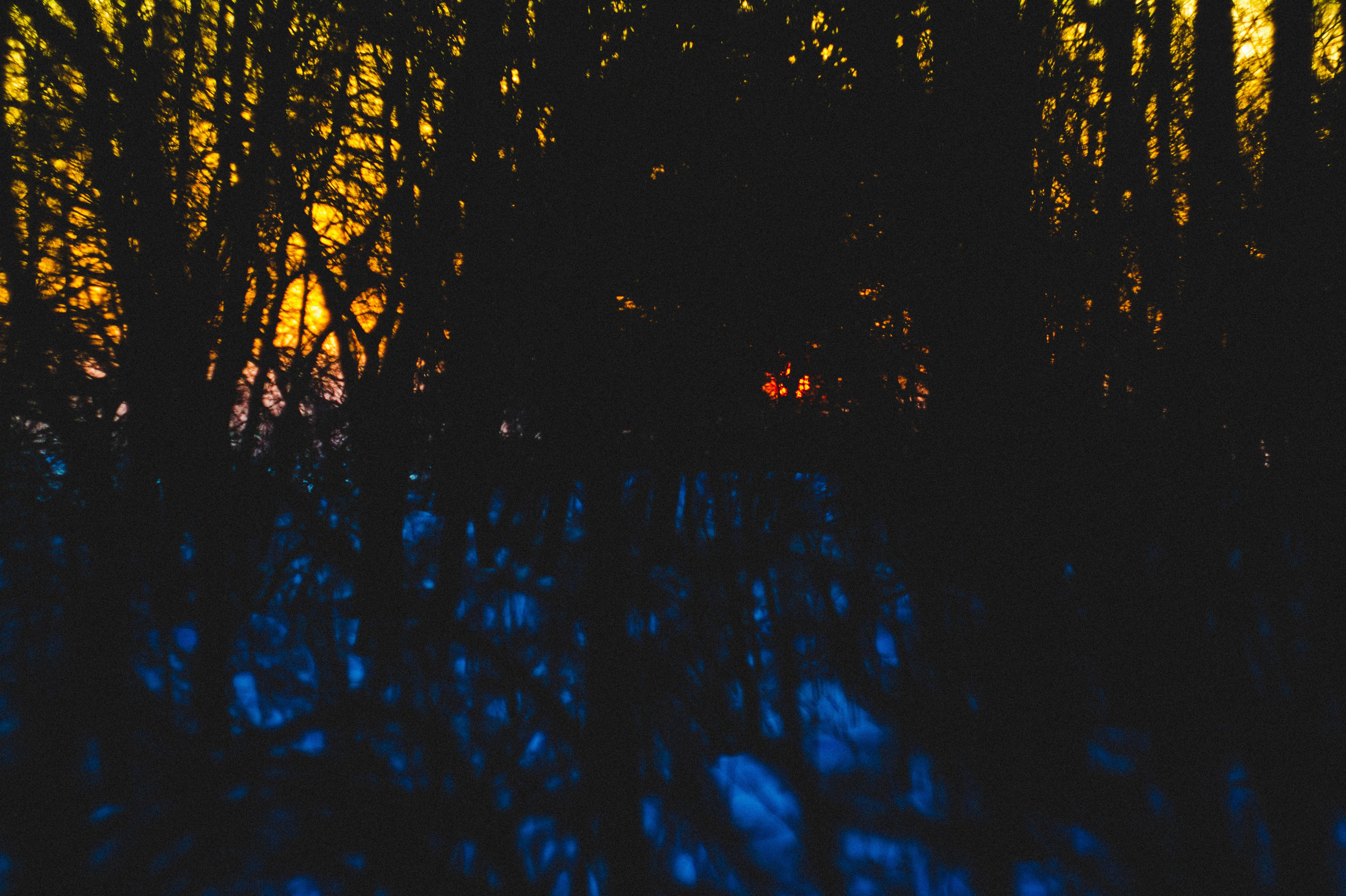 Narcissist. Den Mirov — Photographer, Musician