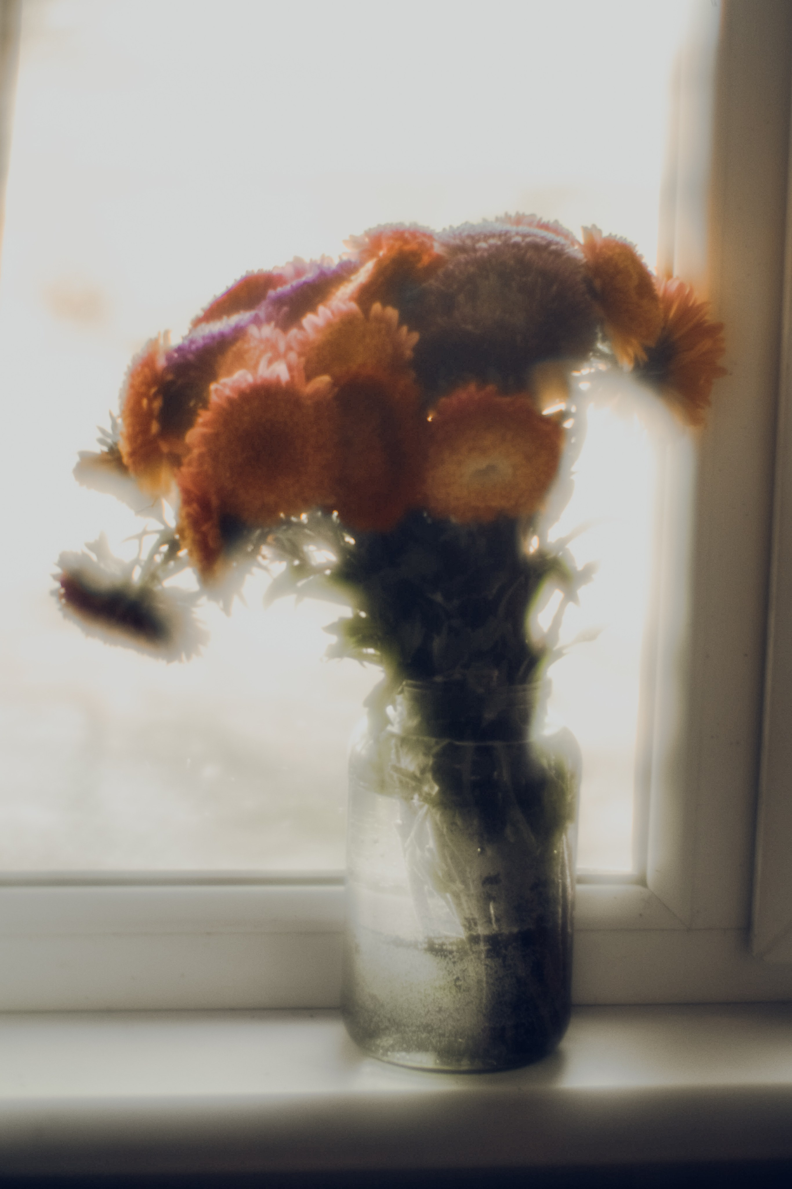 Поэзия повседневности. Семейный фотограф в Москве Марина Аргунова