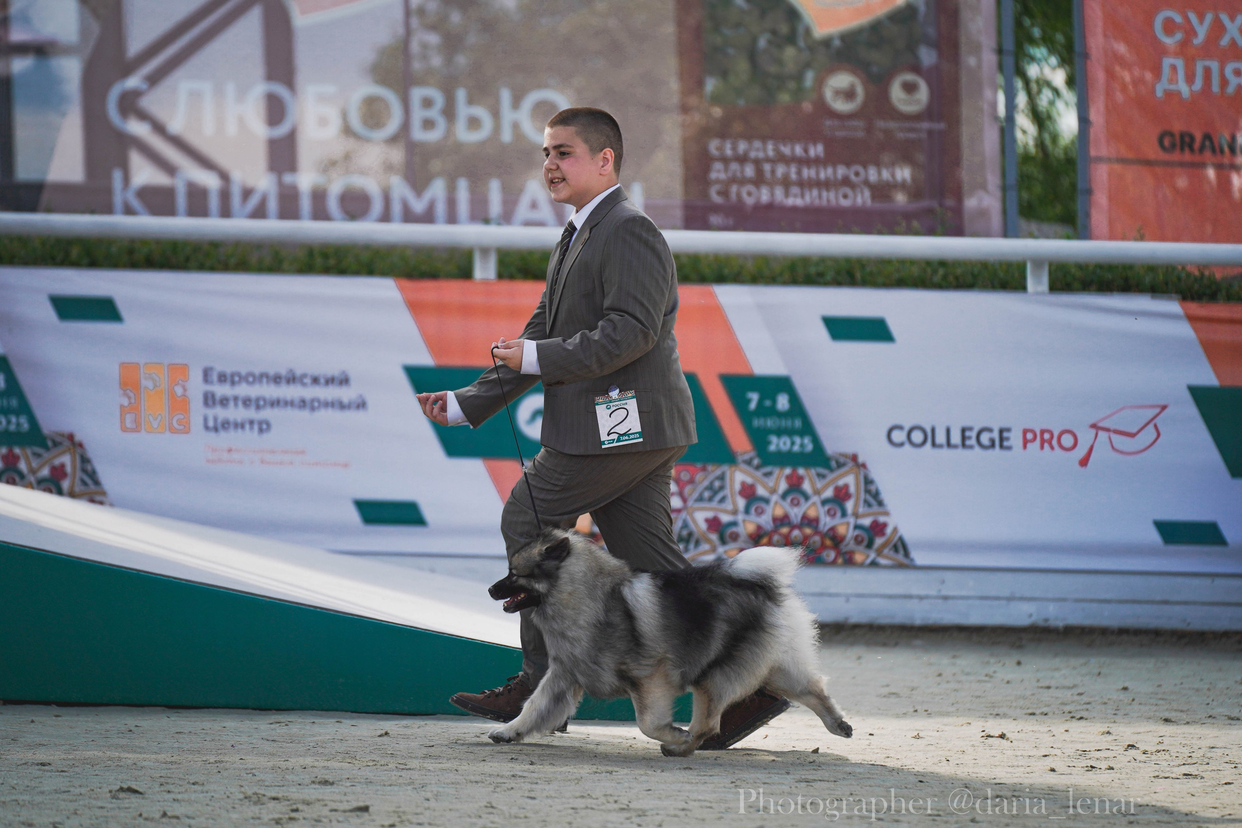 Выставки собак. Фотограф в Москве Ленарская Дарья