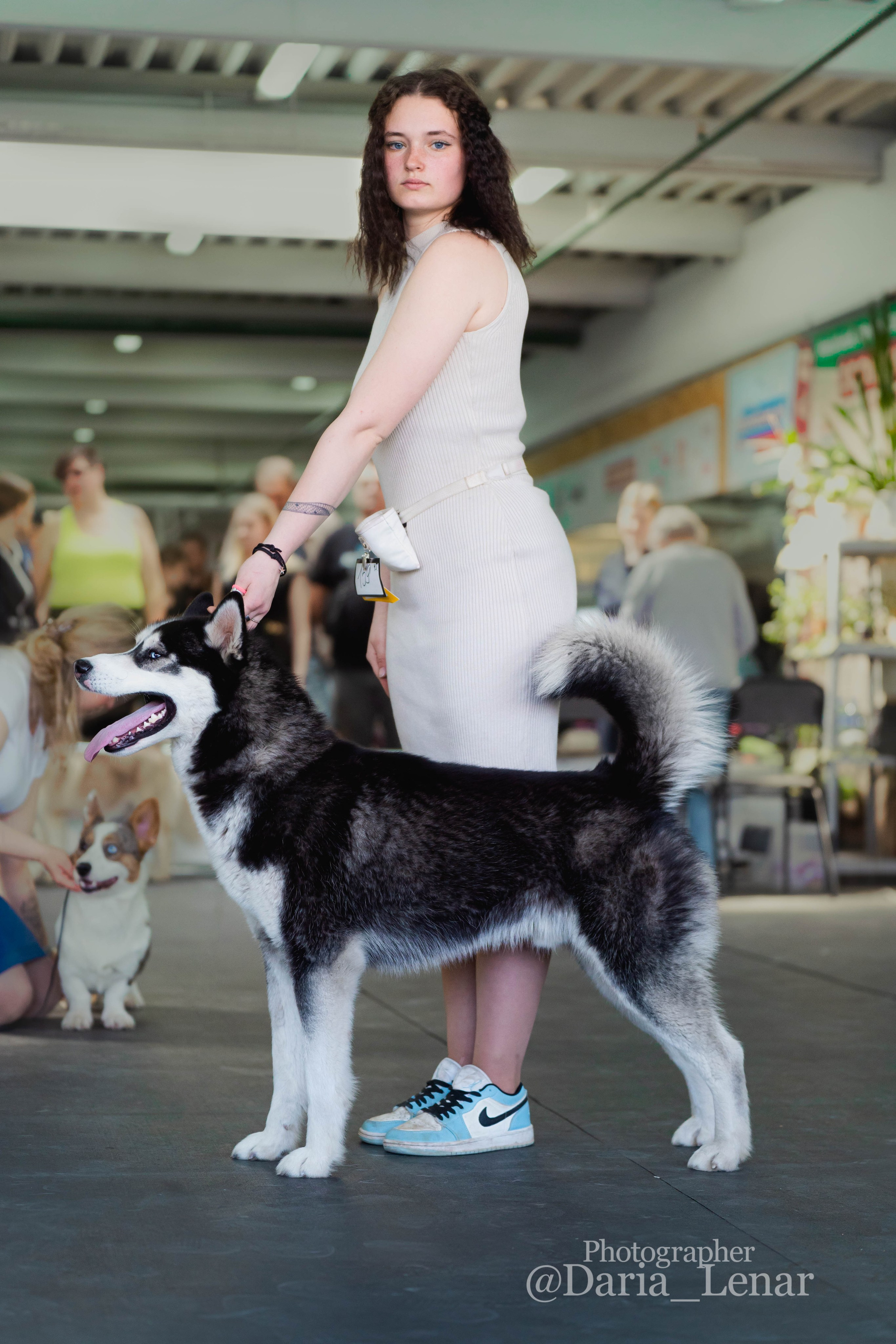 Выставки собак. Фотограф в Москве Ленарская Дарья