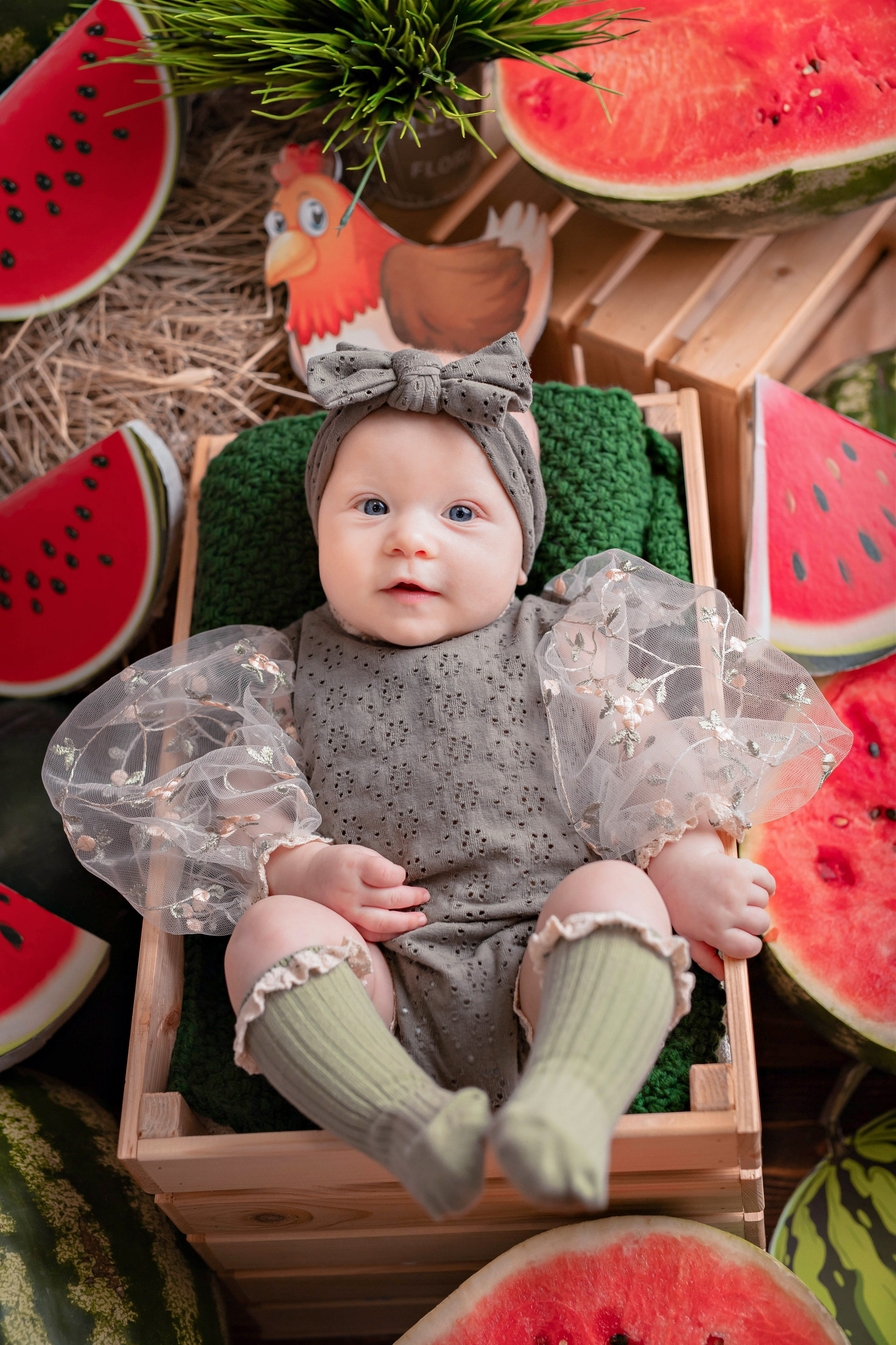 Арбузы. Фотограф Болотова Иветта