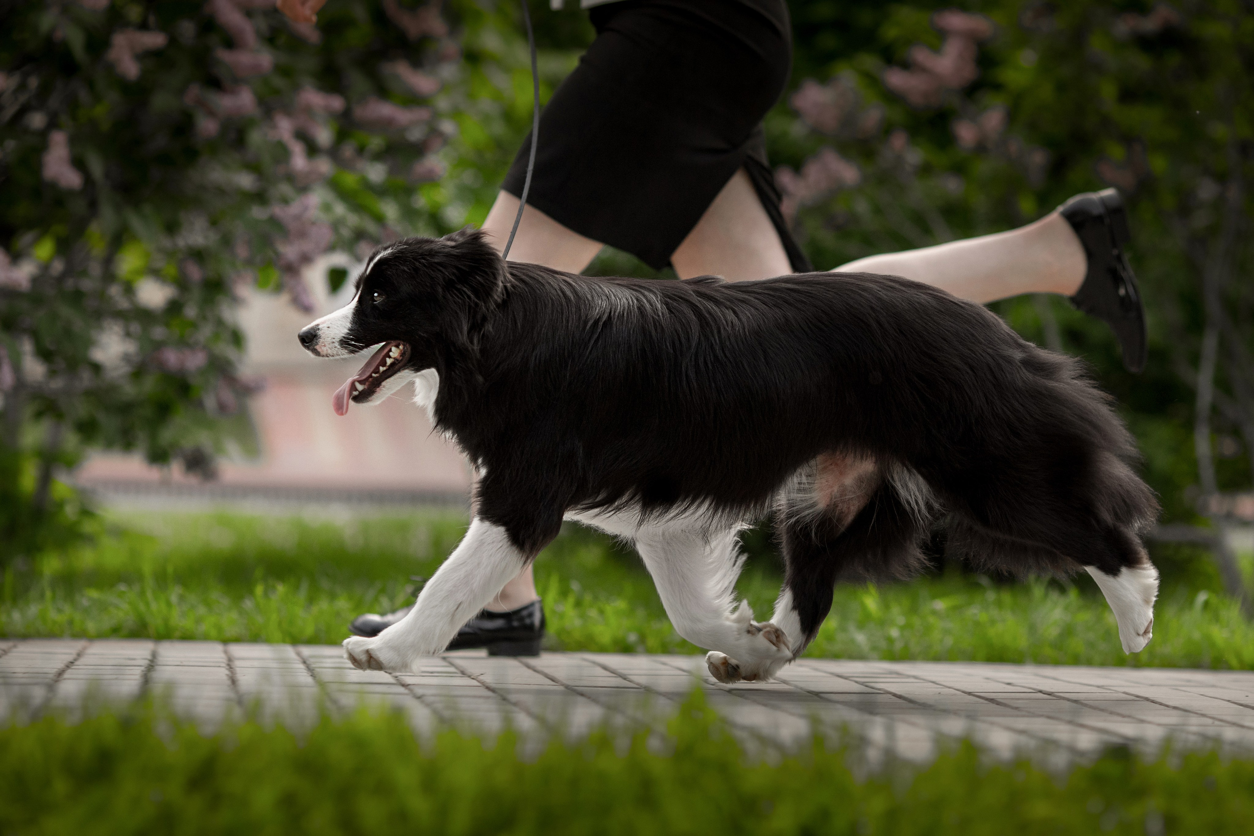 Роскошь в ростошах. О нас