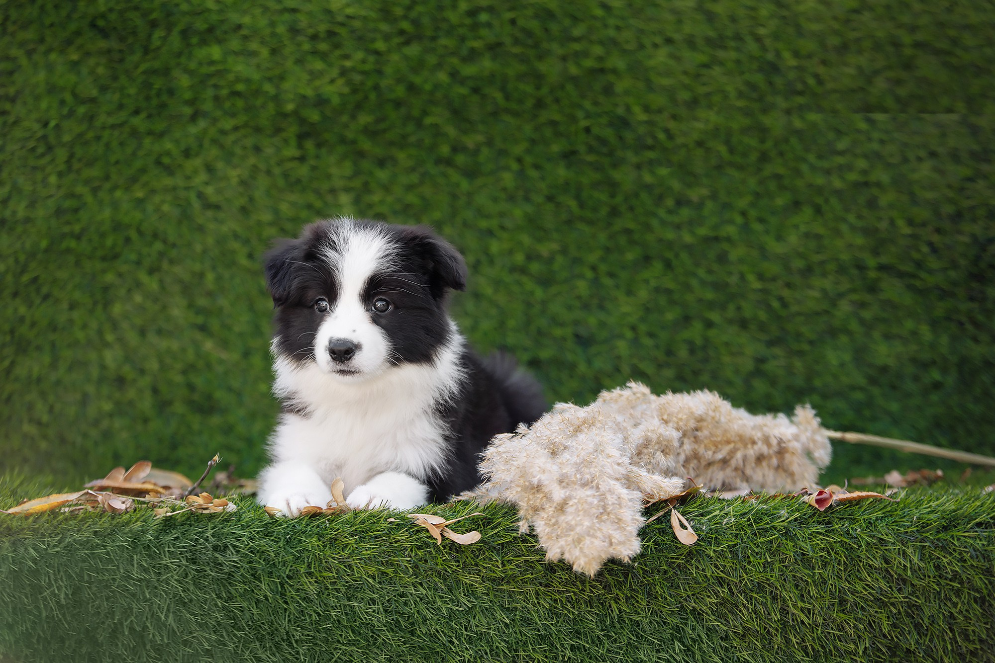 Новый лист. О нас