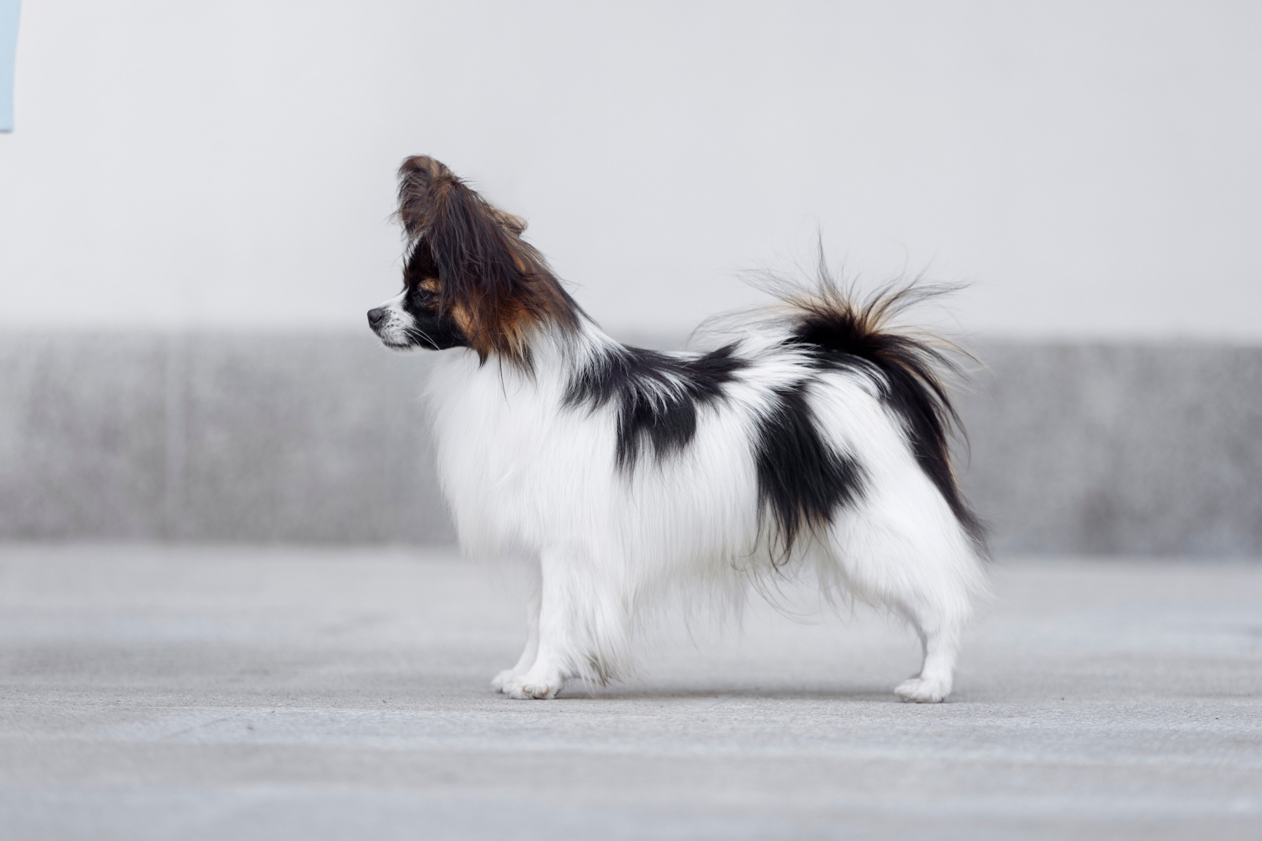 Магнитка 22. О нас