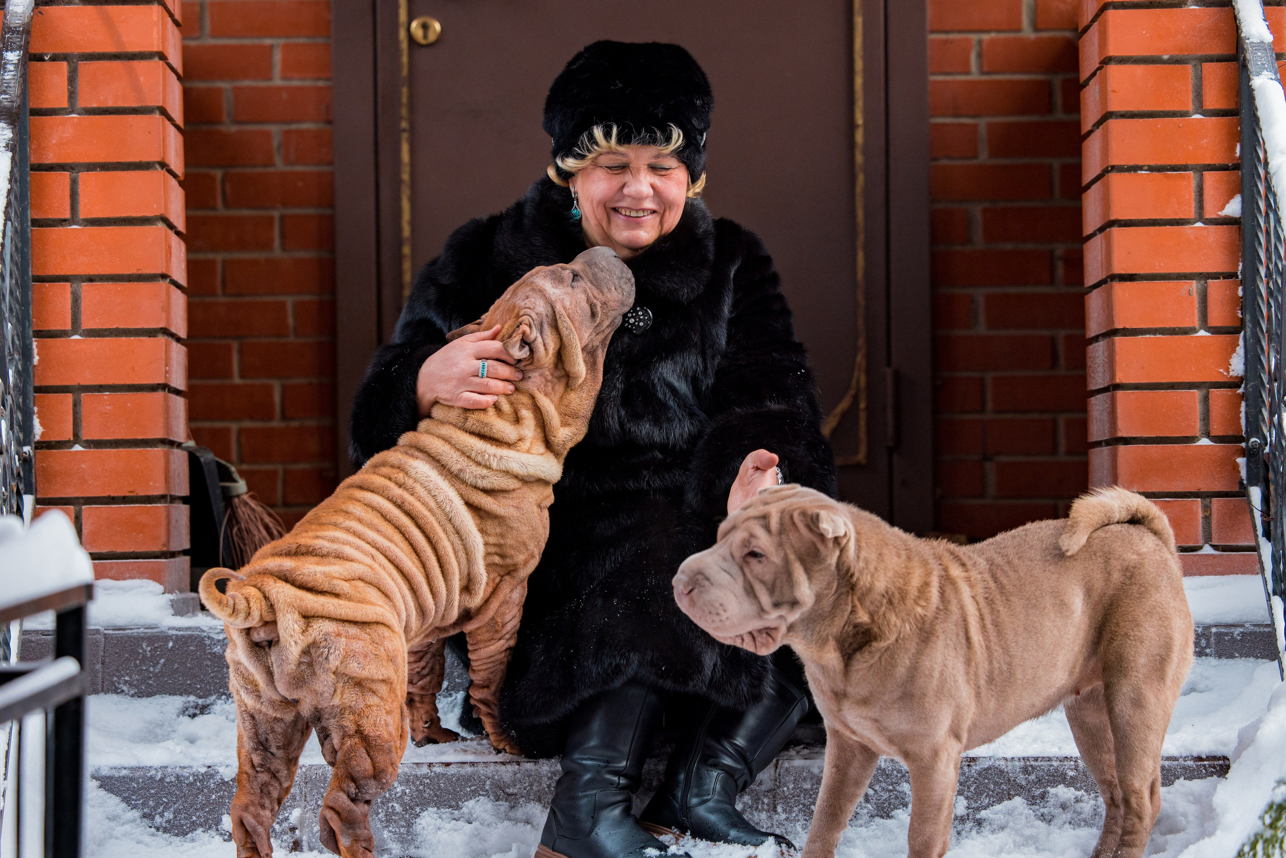 В гостях у шарпеев 16.01.2024. Фотограф-анималист Юлия Германика