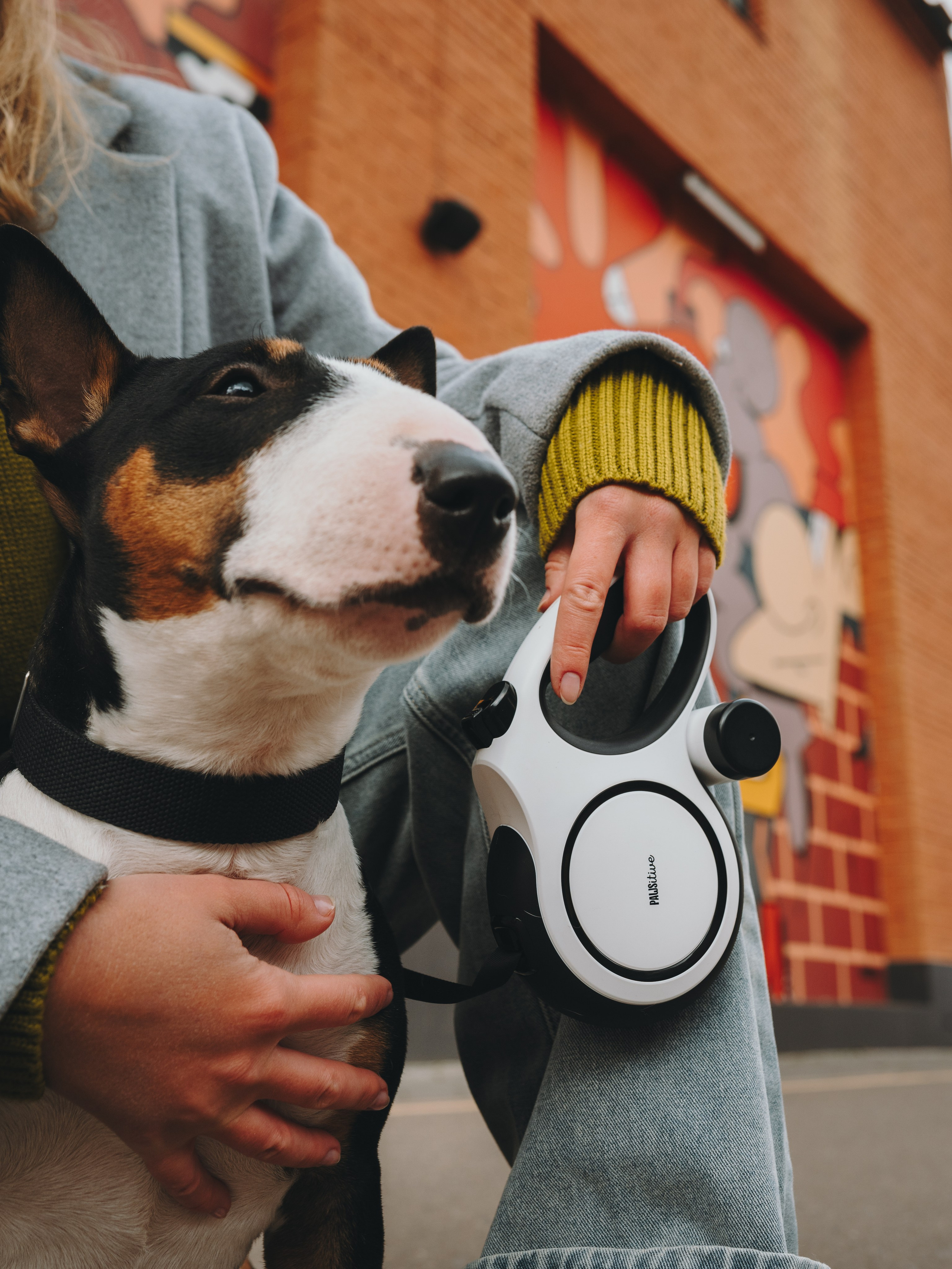 Pawsitive. Семейный фотограф анималист Ананьева Мария — Москва