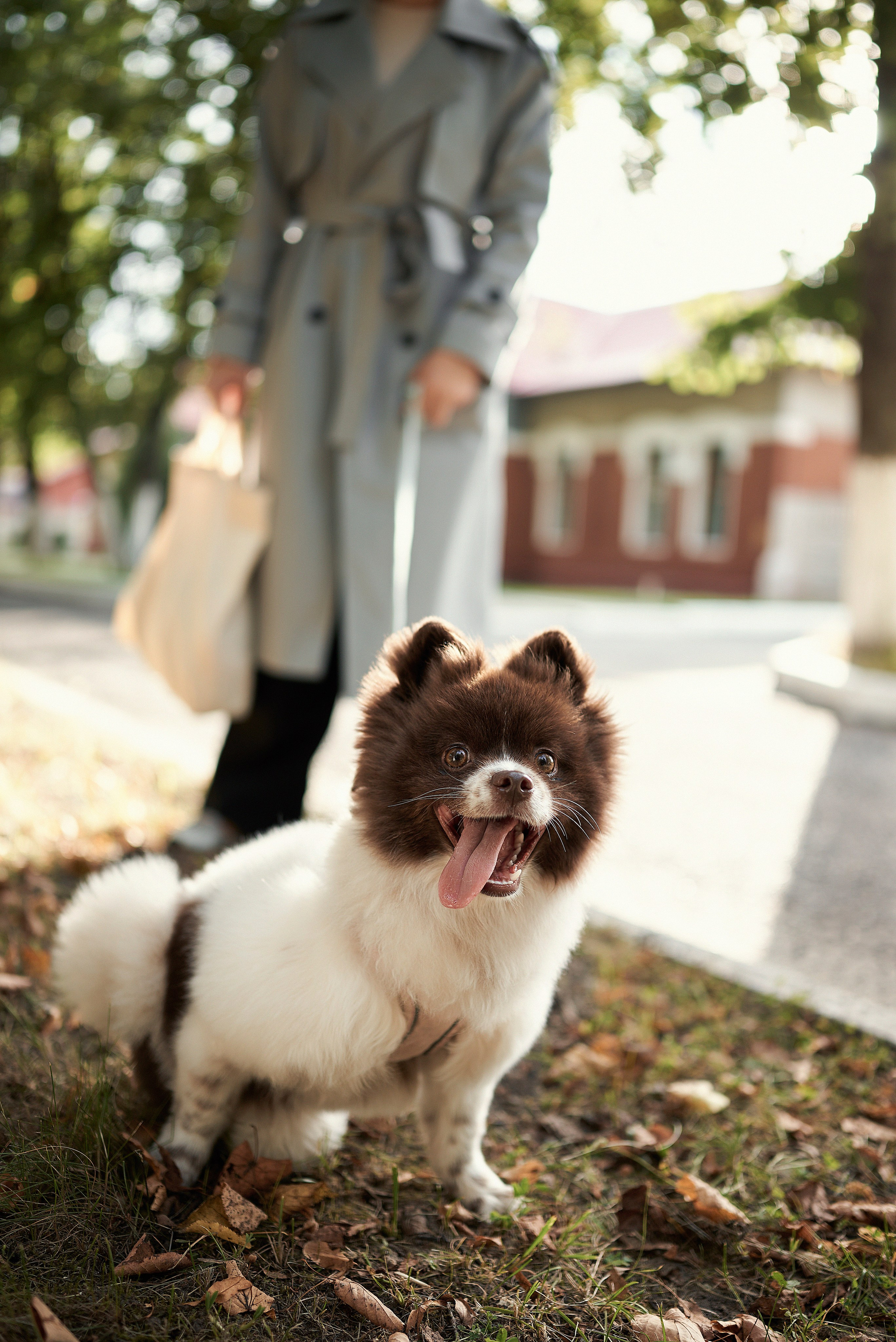 Кристина и Кика. Свадебный и портретный фотограф в Брянске Скепская Лилия