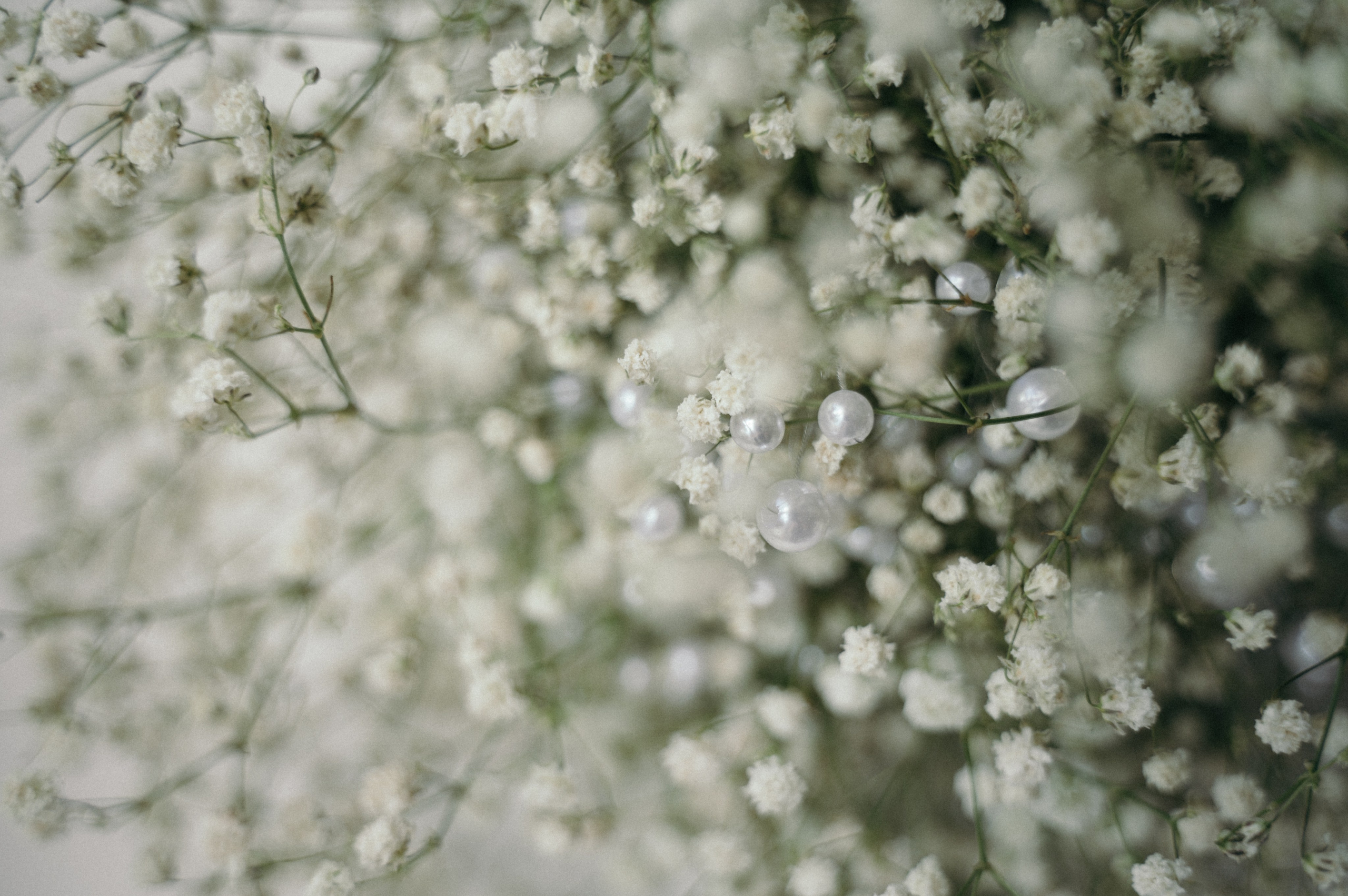 Бесконечность в кадре. Свадебный фотограф Константинова Елена