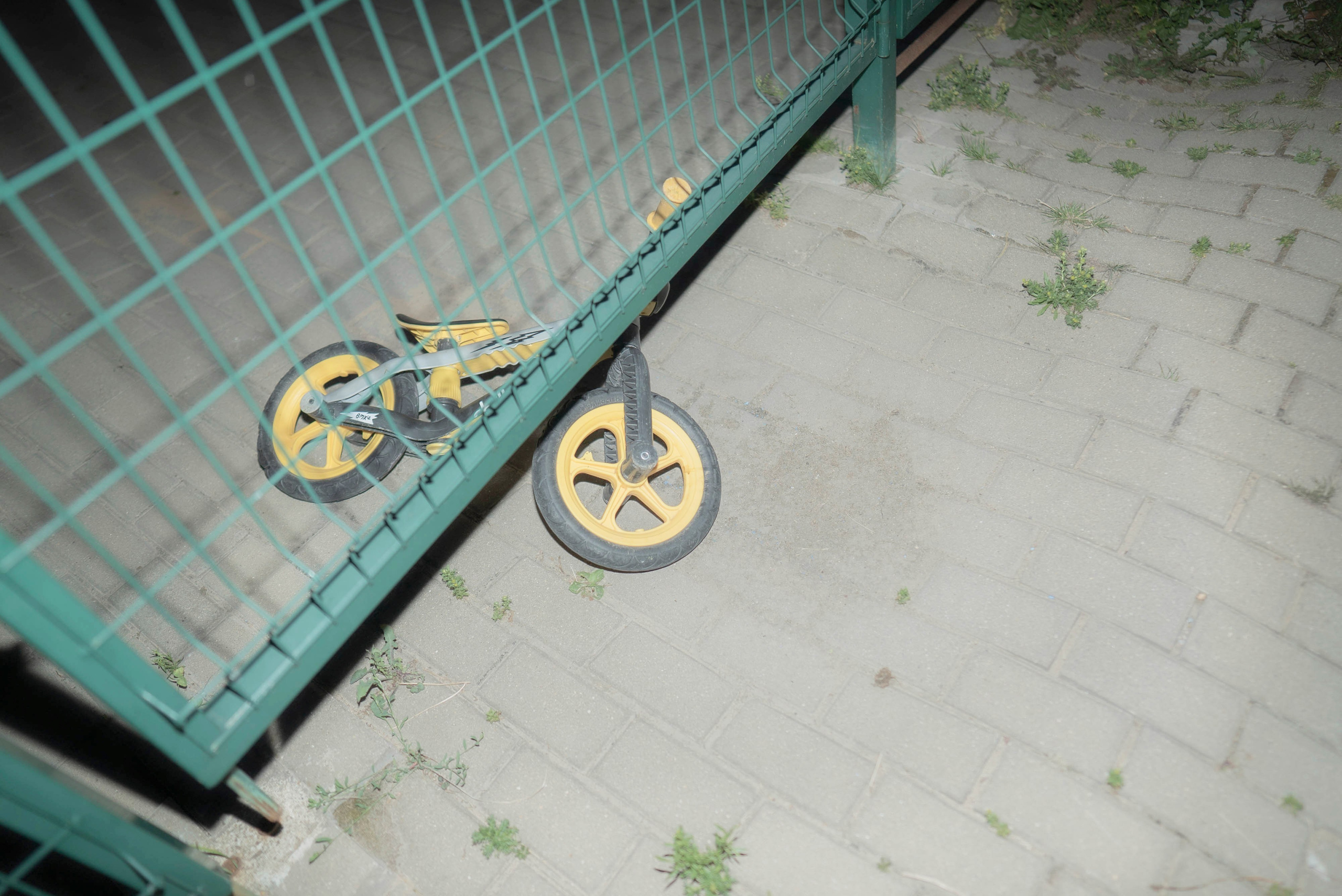 Мир тропы. Tatiana Mishchenko