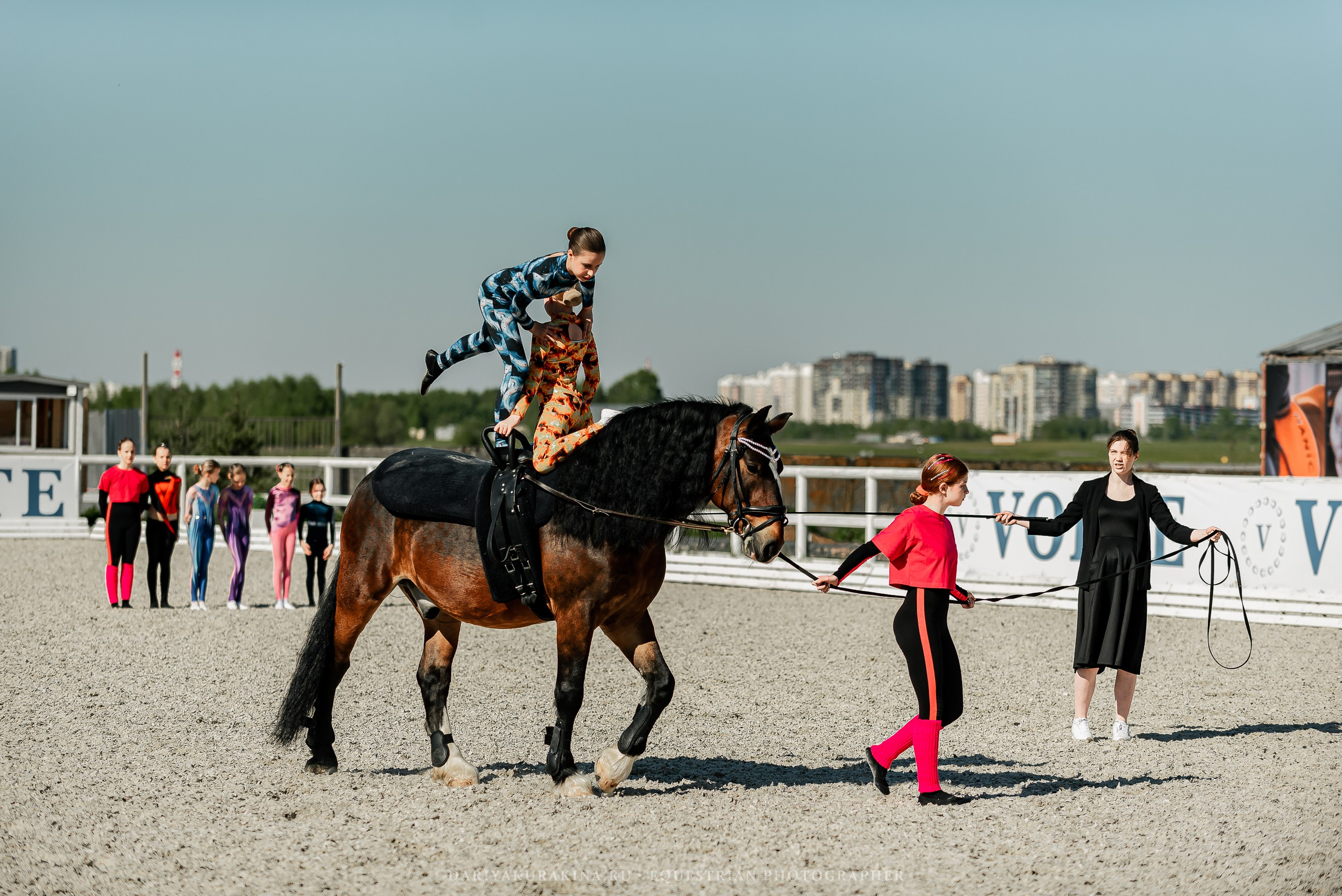 РЕПОРТАЖ МКК ВОЛЬТ «LA TULIPS». Конный фотограф Куракина Дарья • Фотосессии с лошадьми