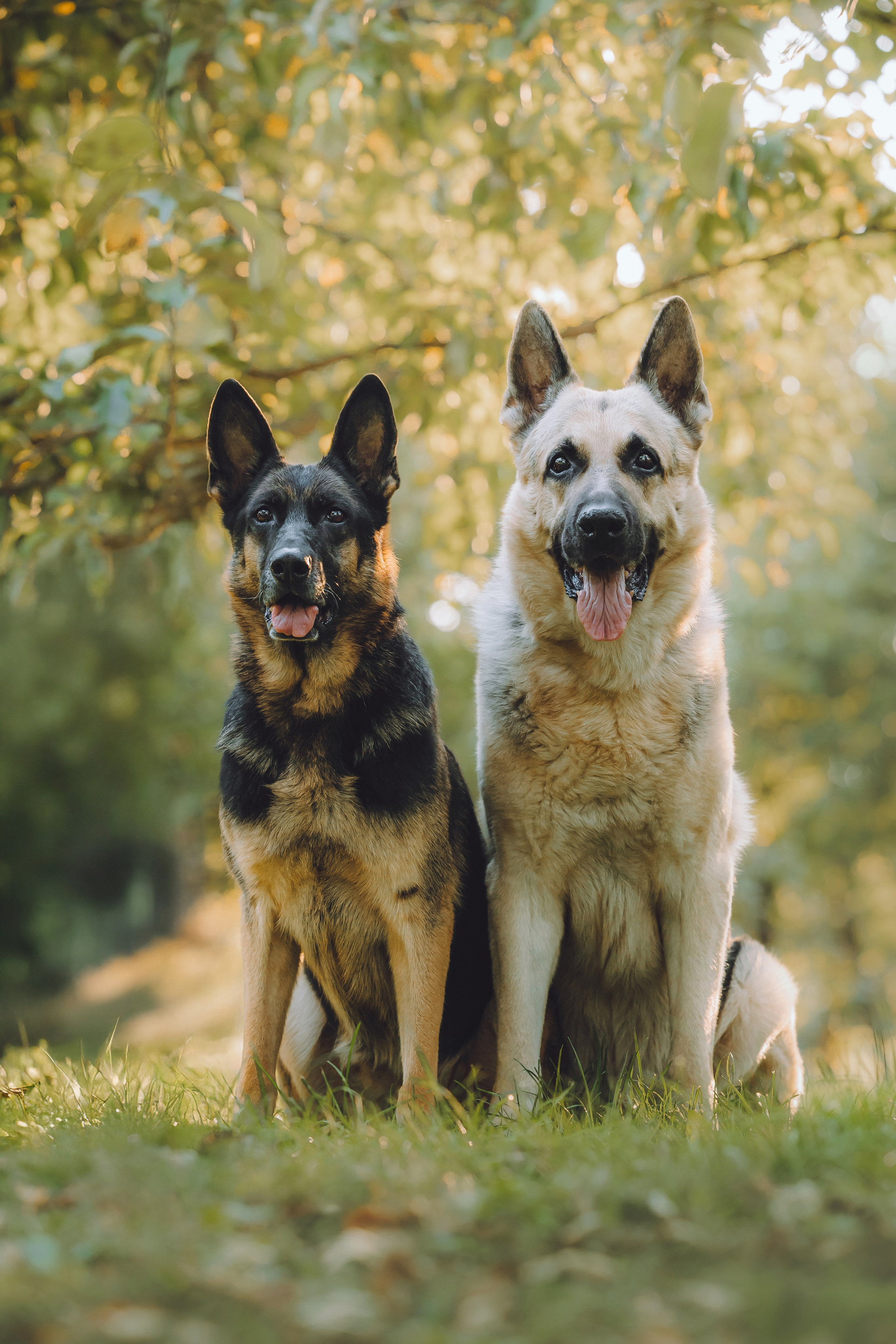 Кристина и все-все