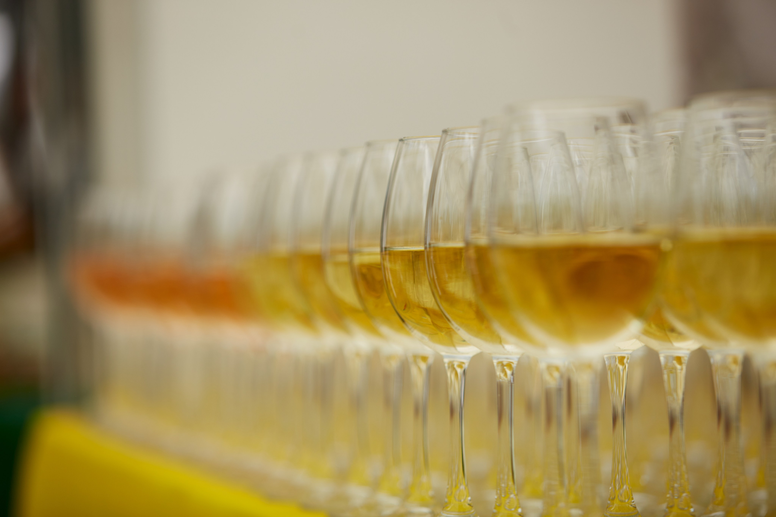 Летняя встреча компании. Свадебный фотограф Москва и Московская область Борисов Сергей