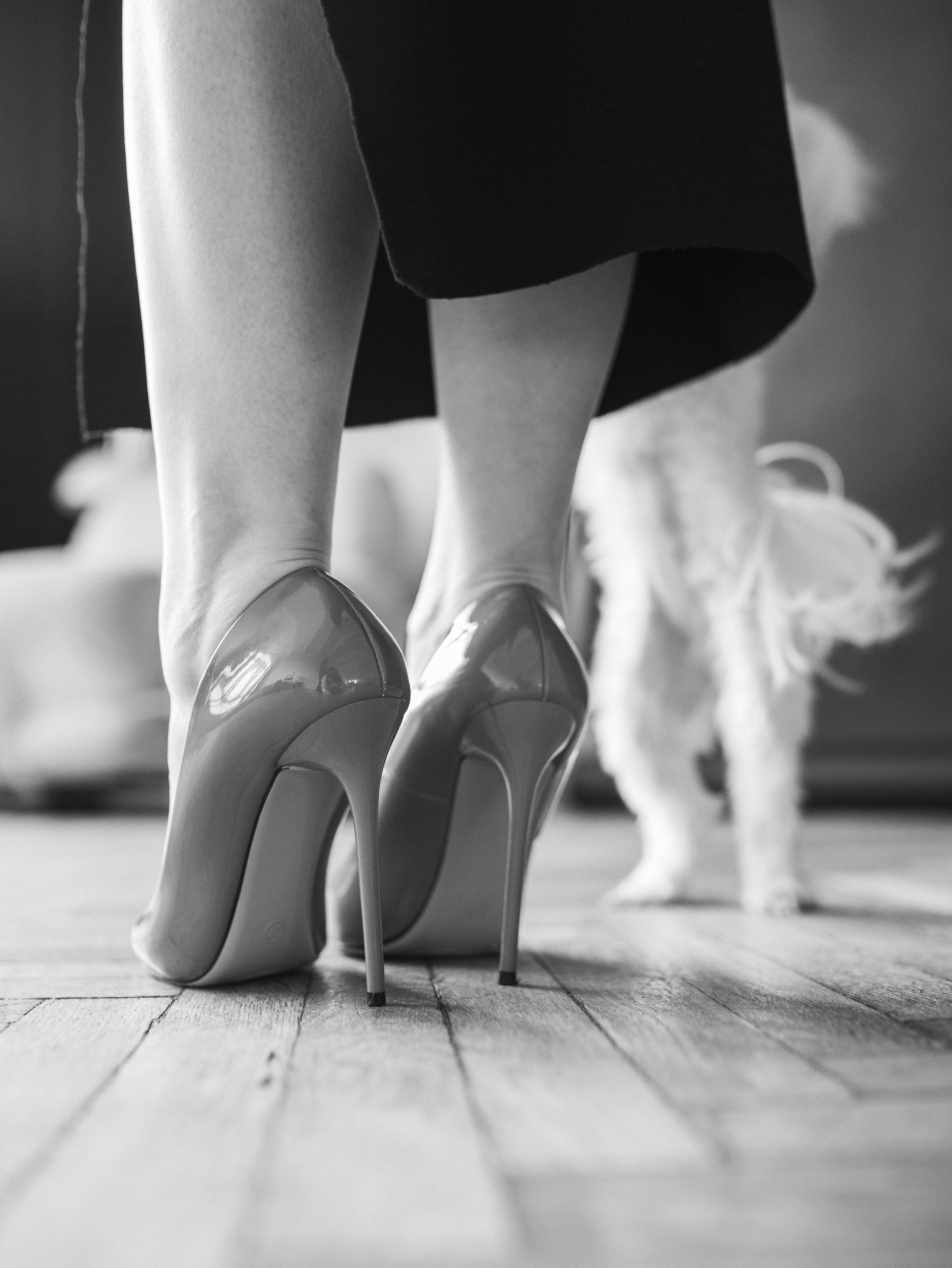 Мира и Таня. Фотограф-анималист в Москве Кириллова Татьяна