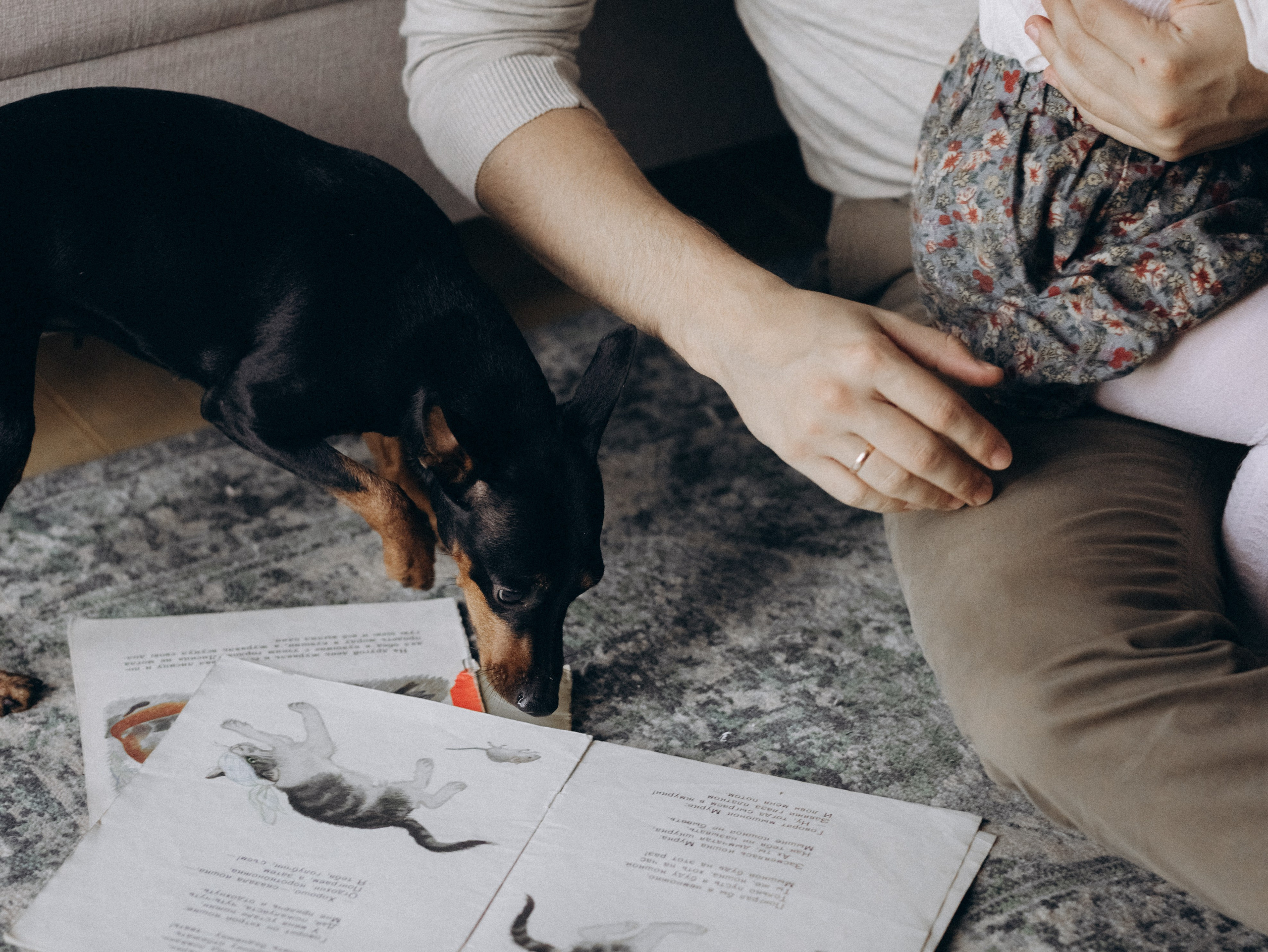 Теплая осень. Фотограф-анималист в Москве Кириллова Татьяна