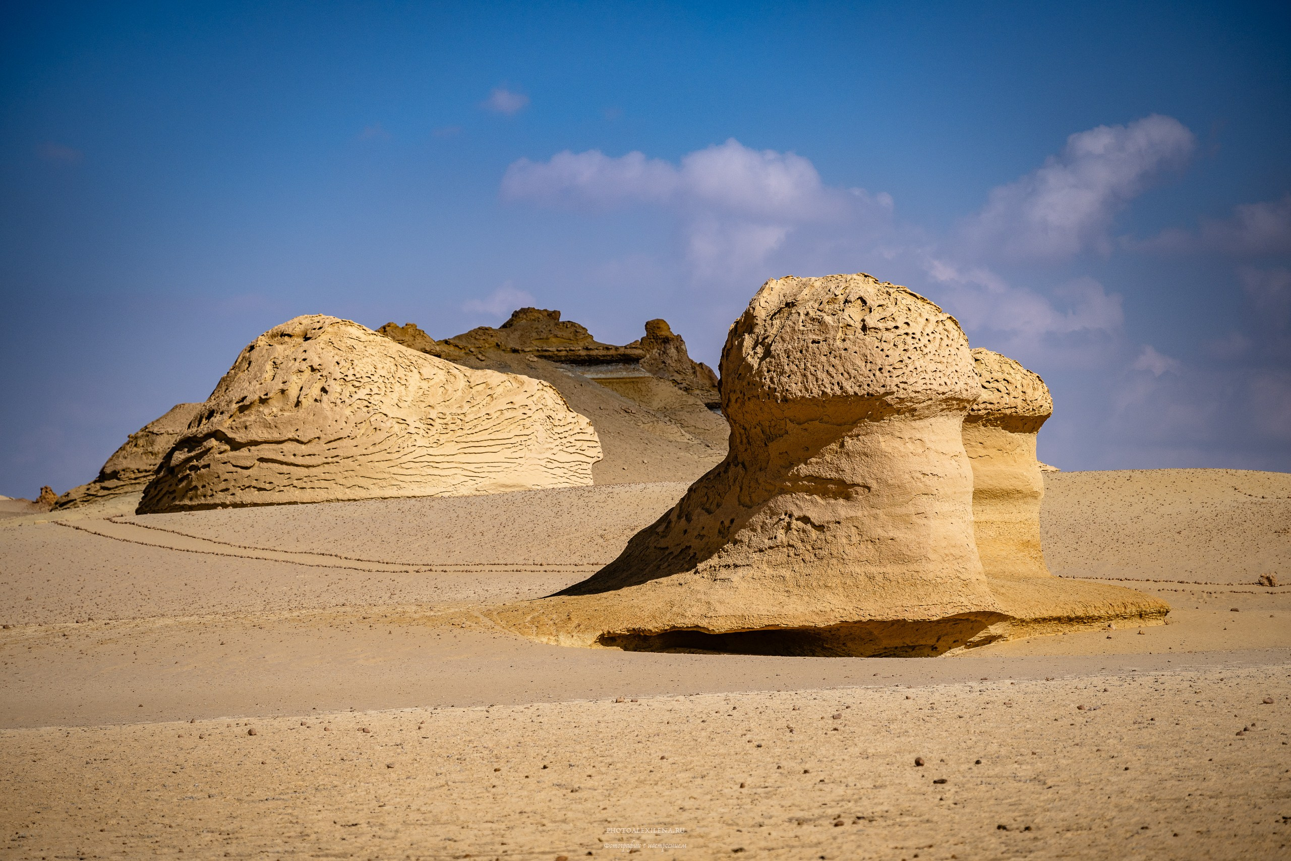 Снова в пустыню, за скелетами…. Авторские стильные фотокартины