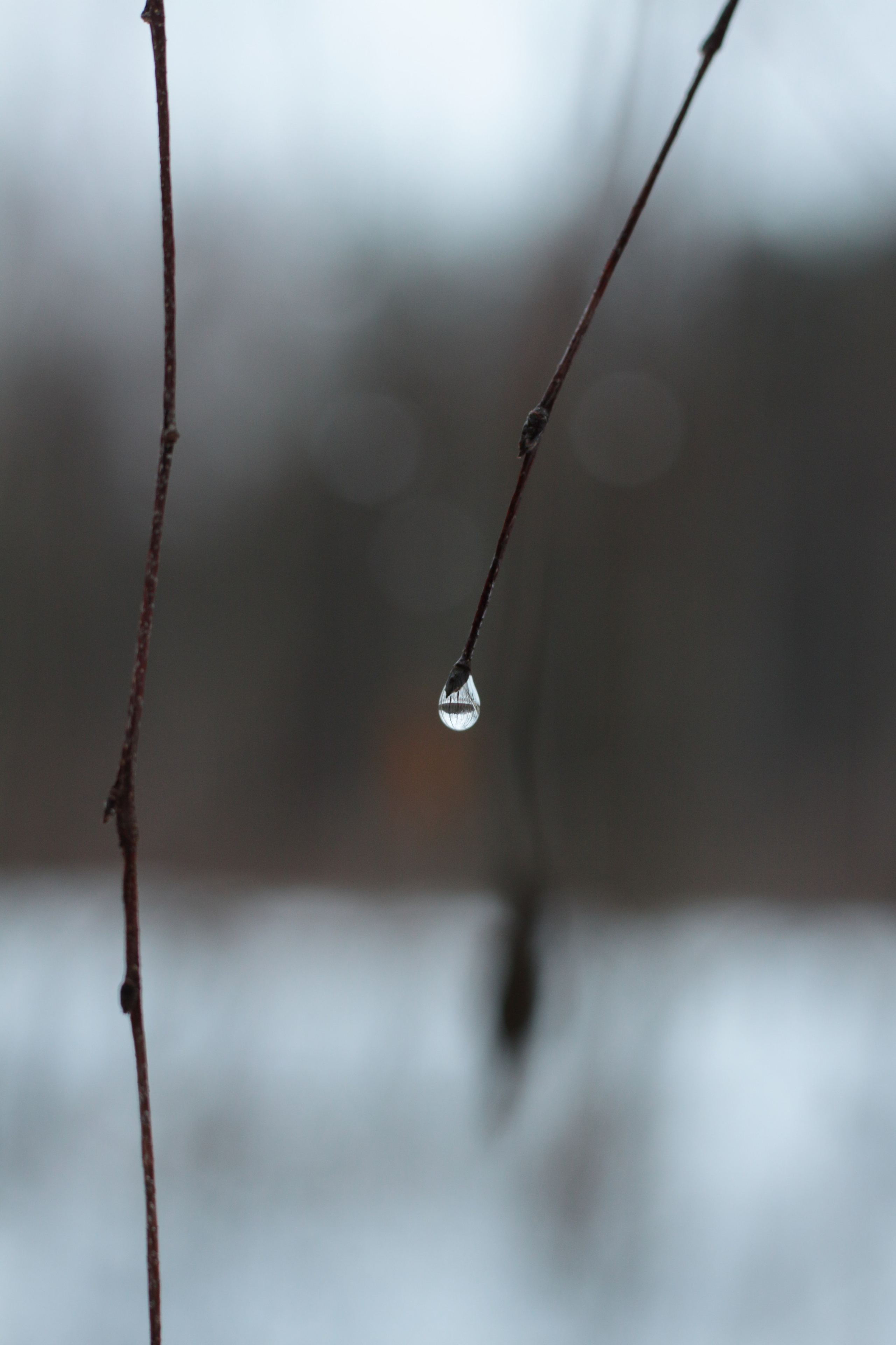 Старое природное, отбирала Katamount (Катерина Горохова). Главная