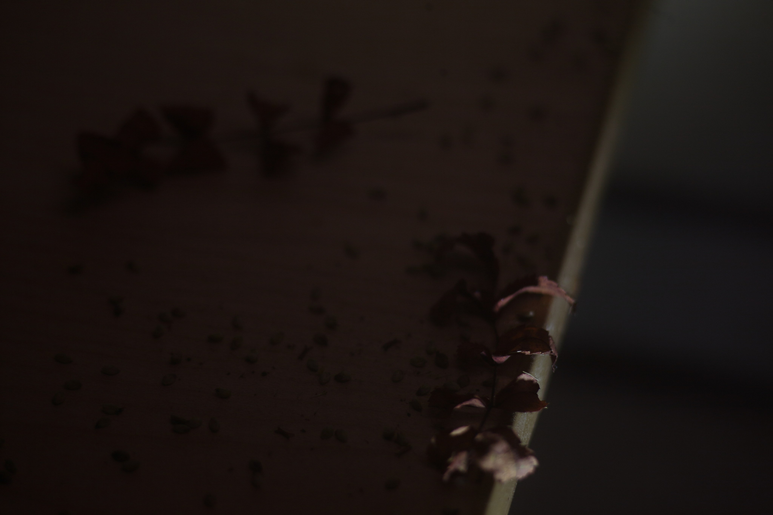 Старое природное, отбирала Katamount (Катерина Горохова). Главная