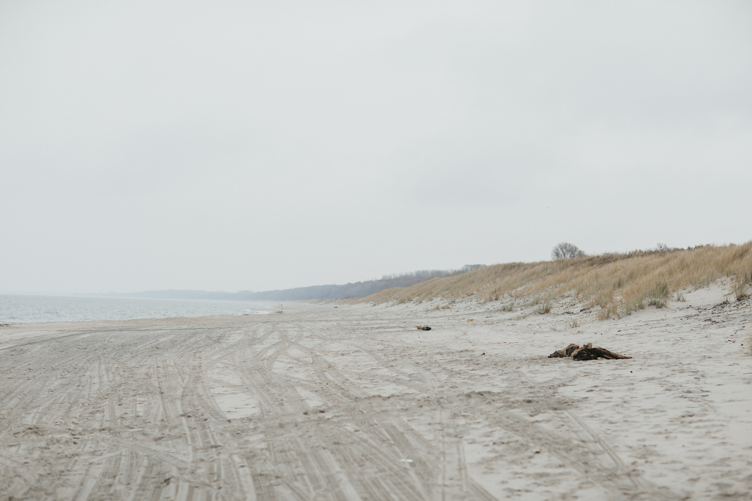 Балтийск/Калининград. Свадебный и семейный фотограф/видеограф в Краснодаре Наталья Осинская
