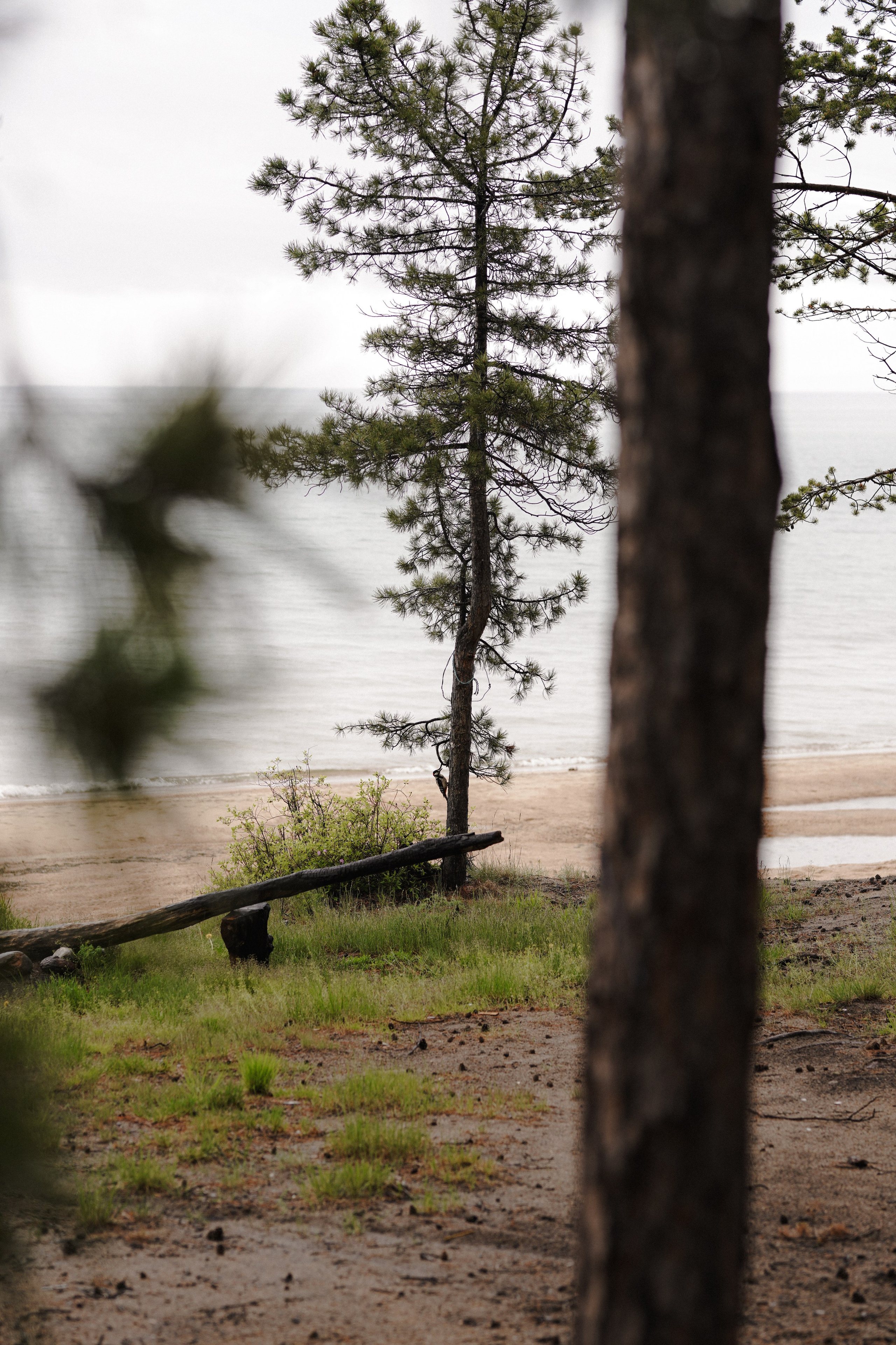 BAIKAL 06|24. Фотограф Виктория Виноградова