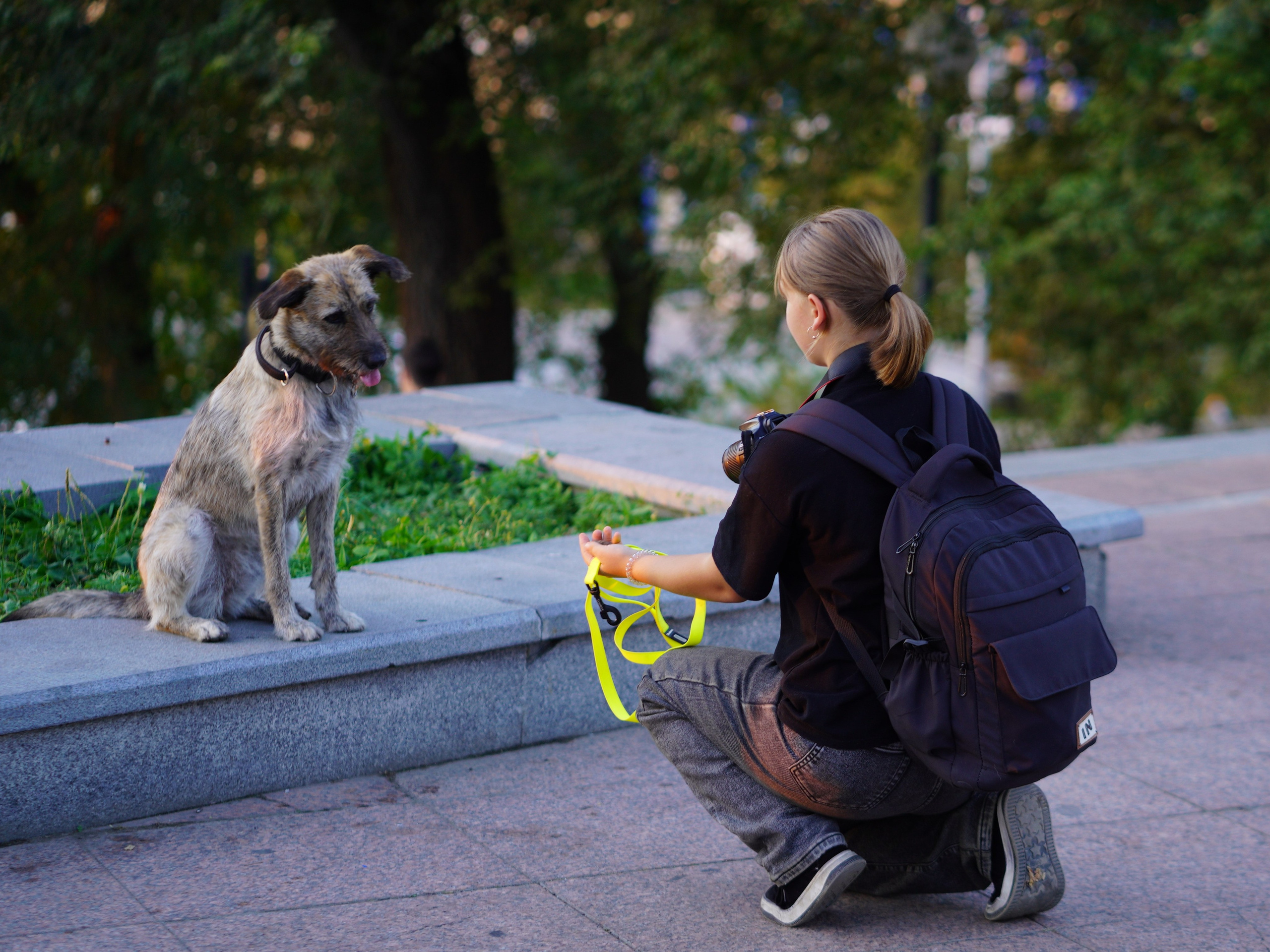 Фото девушки с собачкой. Фотограф Владивосток (художественный портрет, празднование, торжество, мероприятие, фотопрогулка)