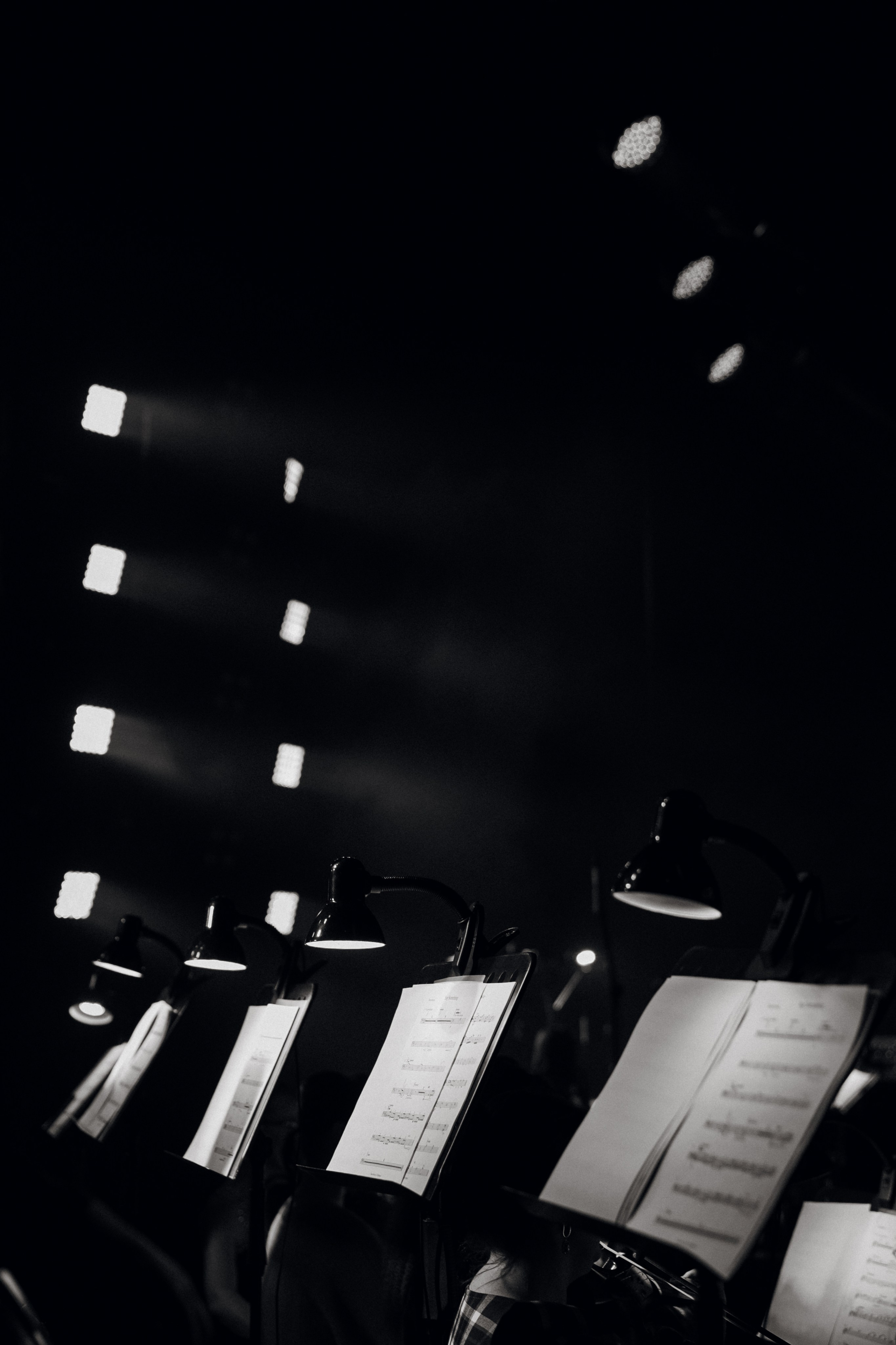 Концерт «ТИТРЫ»: Рита Ричи и оркестр Ильи Филиппова 15.02.25. Свадебный фотограф в Краснодаре и Сочи Винидиктова Екатерина