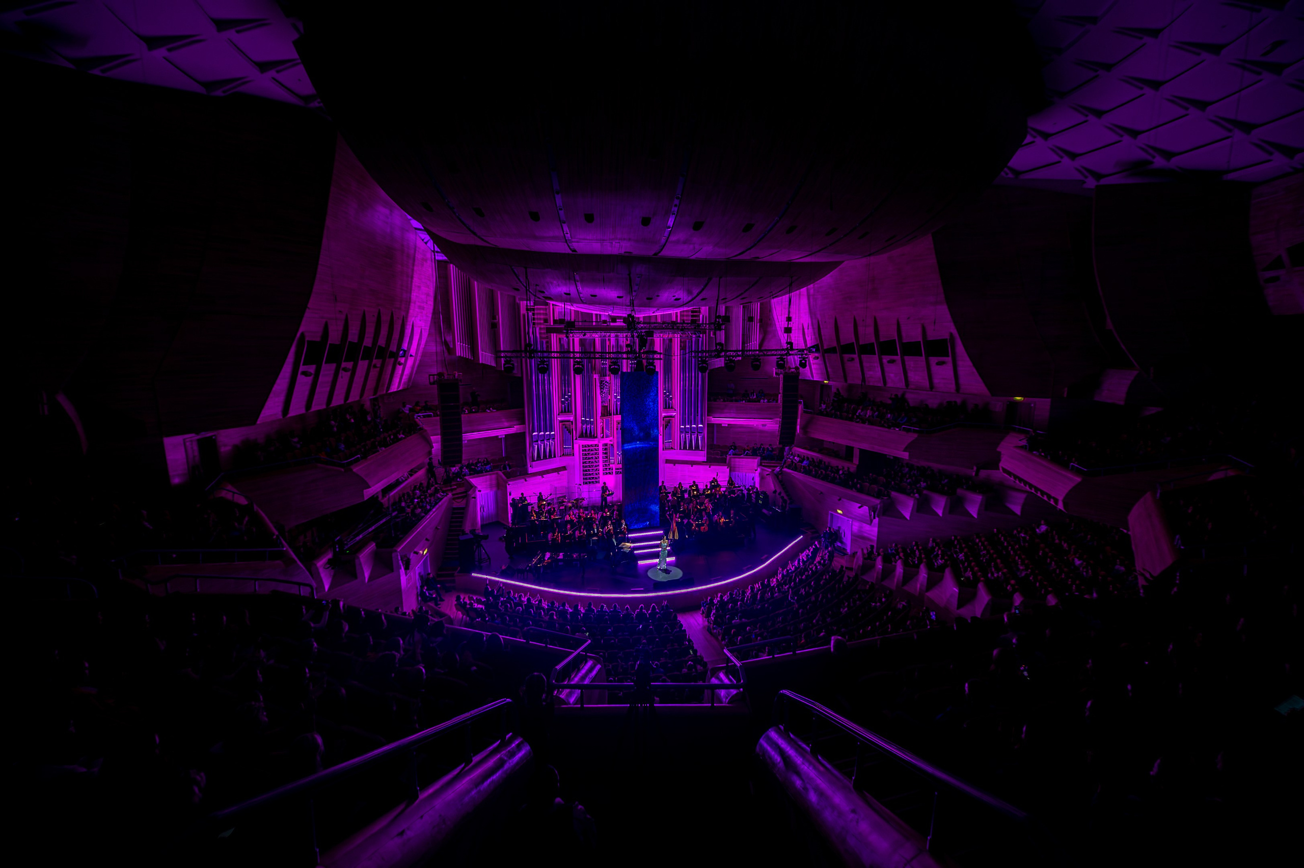 ALSOU / 2024. OOPS TEAM