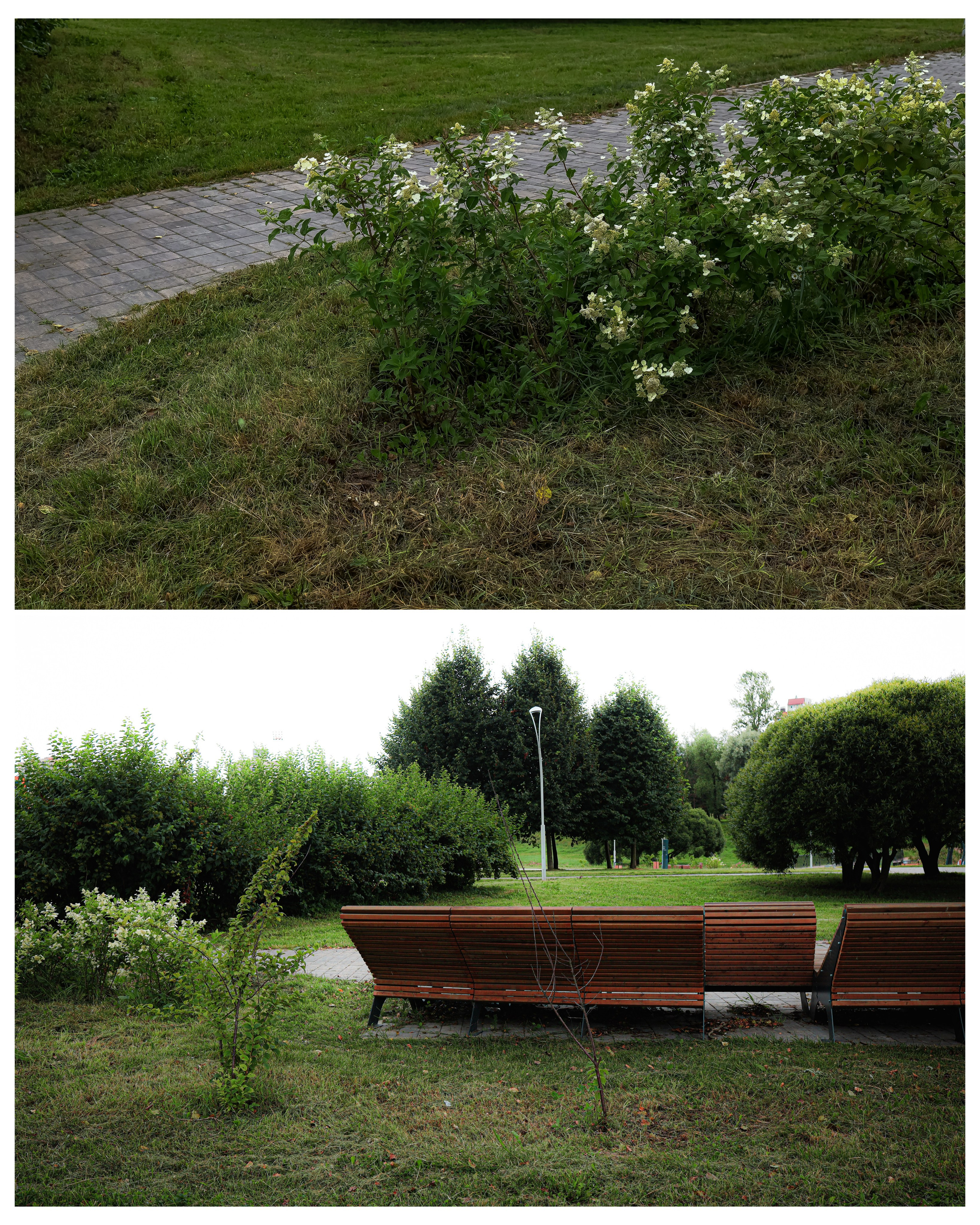 Постигшие бессмысленность печалей Растят цветы и не считают дни. ( c )