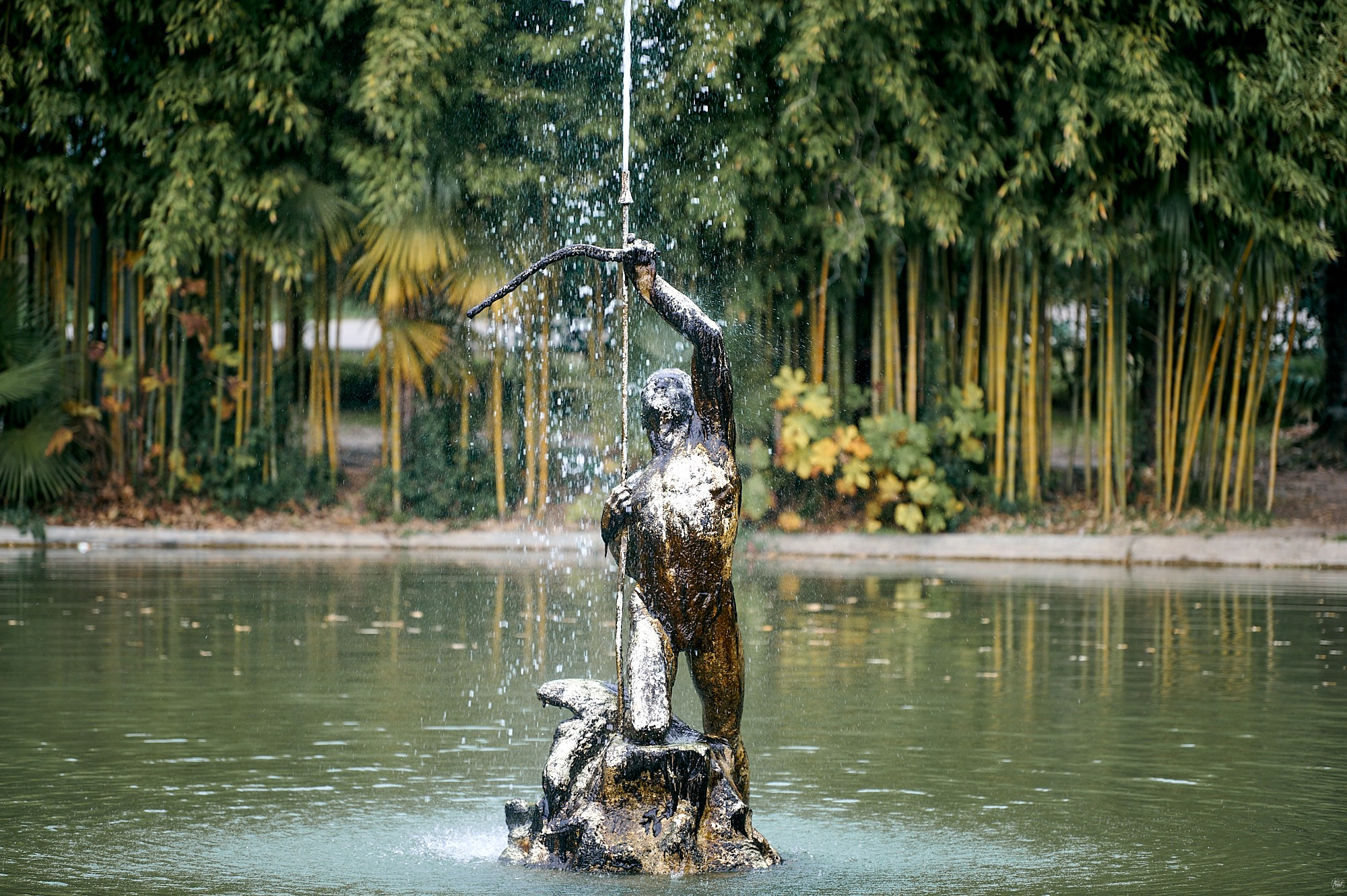 Гагра, Абхазия. Декабрь 2024. Фотографии отовсюду и обо всем