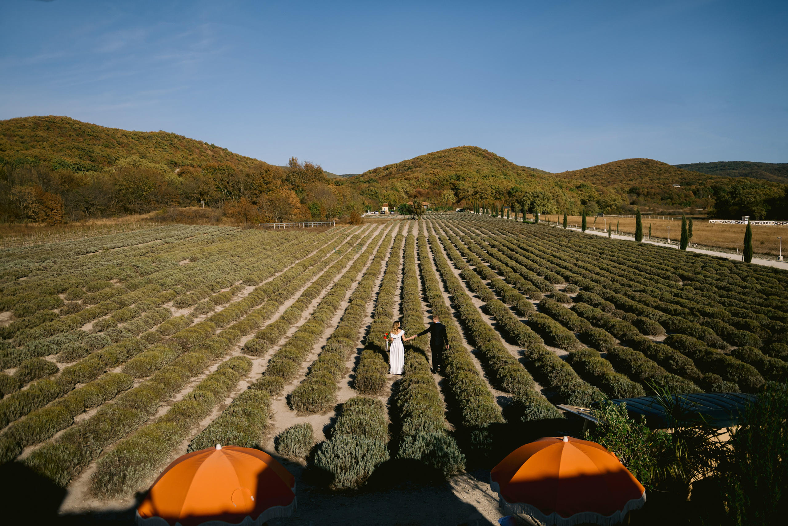 Ekaterina & Ivan. Свадебный фотограф в Краснодаре