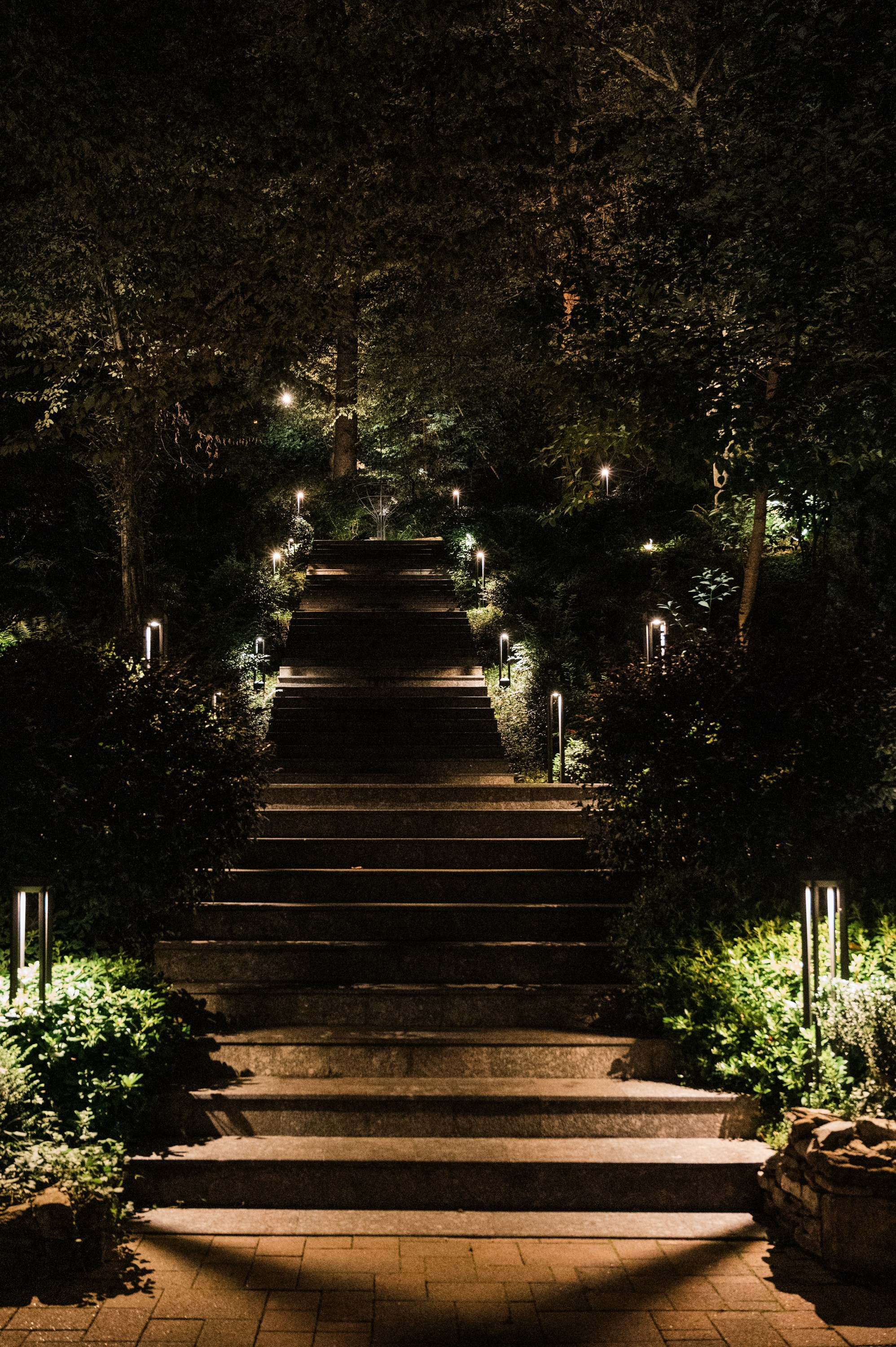 Репортажный фотограф на корпоратив и другие мероприятия. Свадебный и семейный фотограф в Краснодаре Марина Стёпа