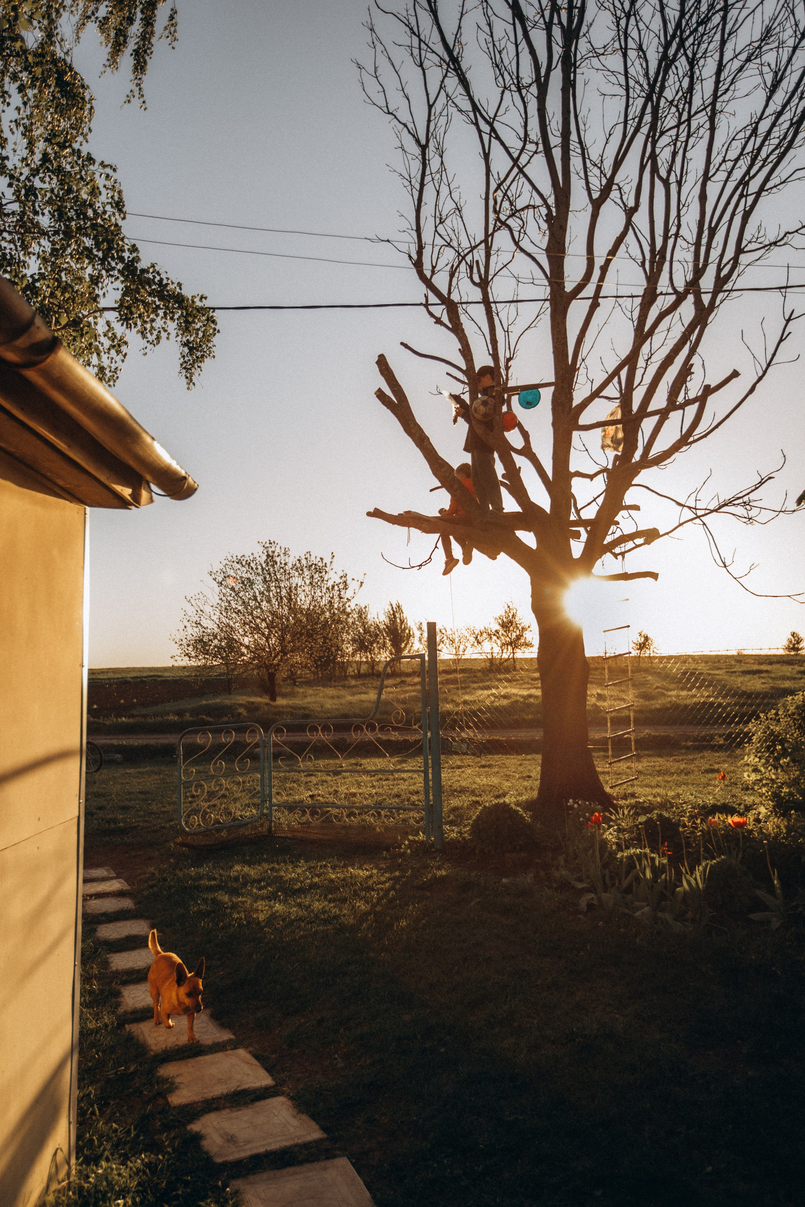 Семейная история — фотопрогулка. Семейный фотограф в Москве Марина Аргунова