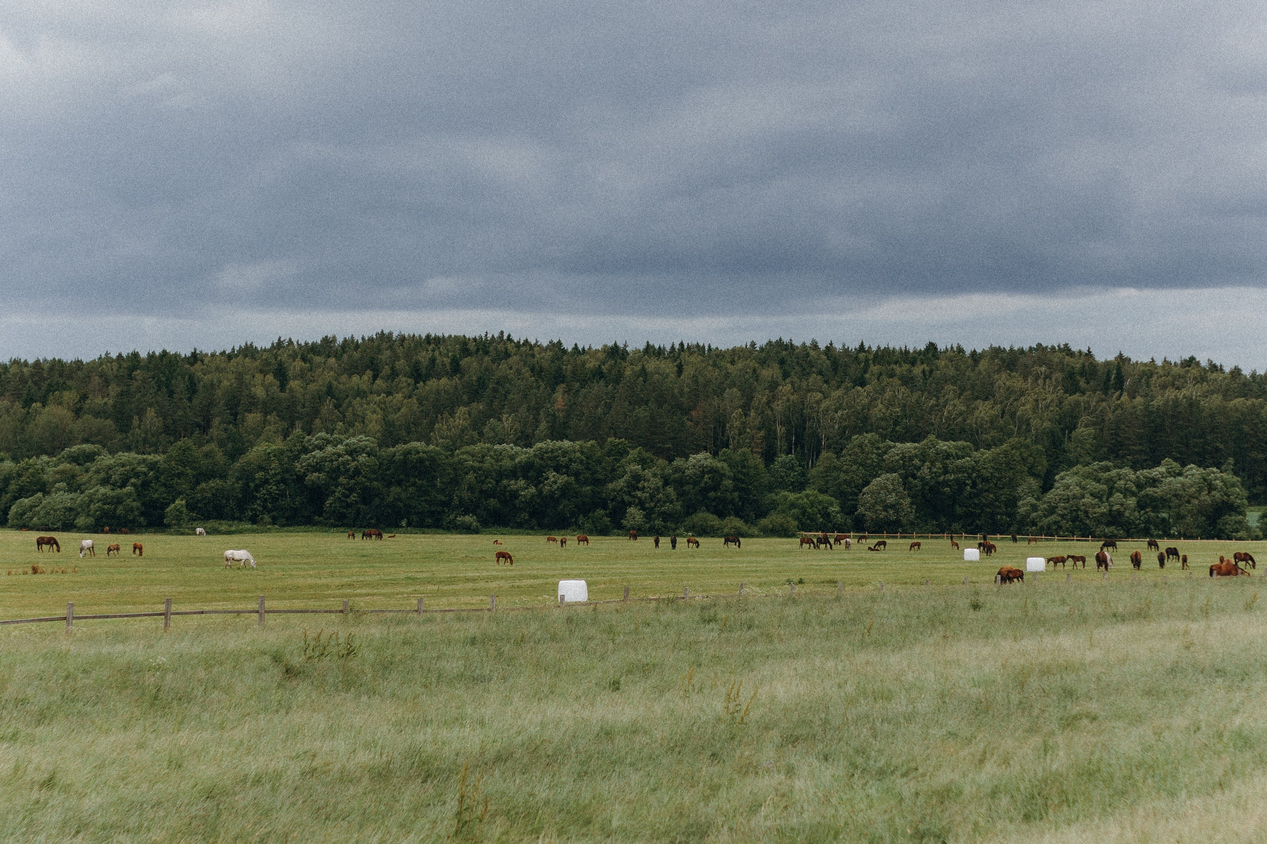 Мария. Семейный фотограф Земскова Евгения