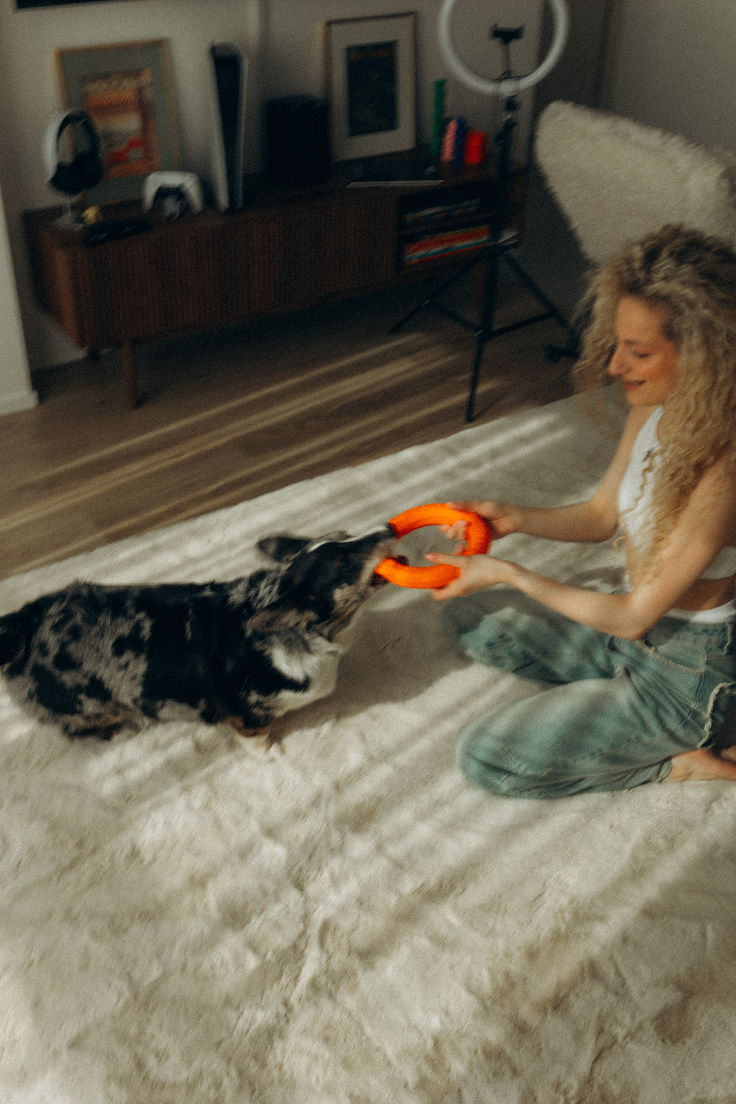 Бэлла, Деми и Луна. Фотораф — анималист Мария Шистка