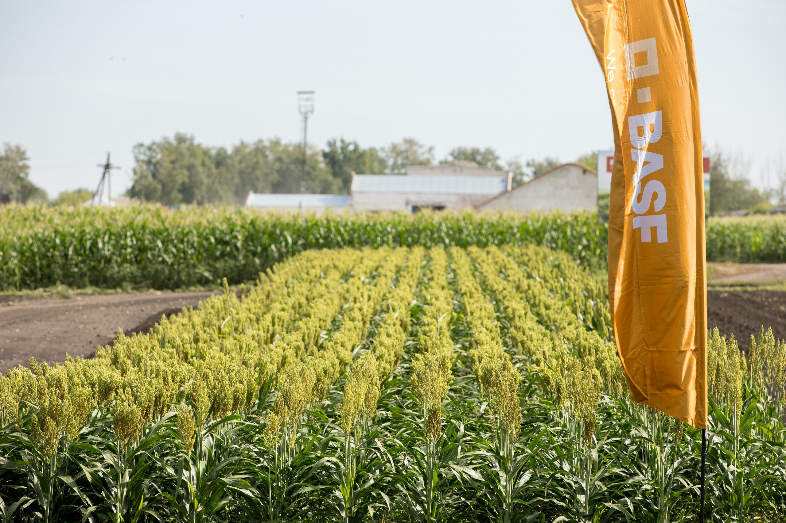 Решения для сельского хозяйства BASF 16.08.2022. Владислав Волков | Фотография и видеосъемка в Воронеже