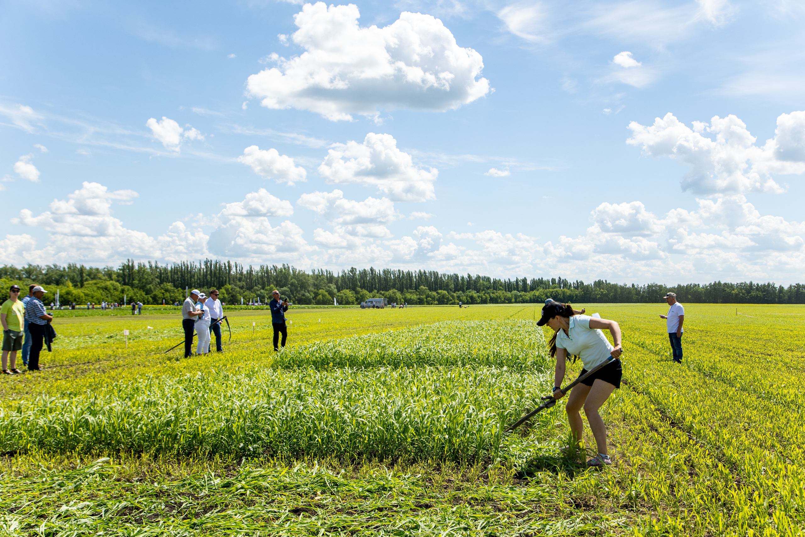 День Поля 2022. Владислав Волков | Фотография и видеосъемка в Воронеже