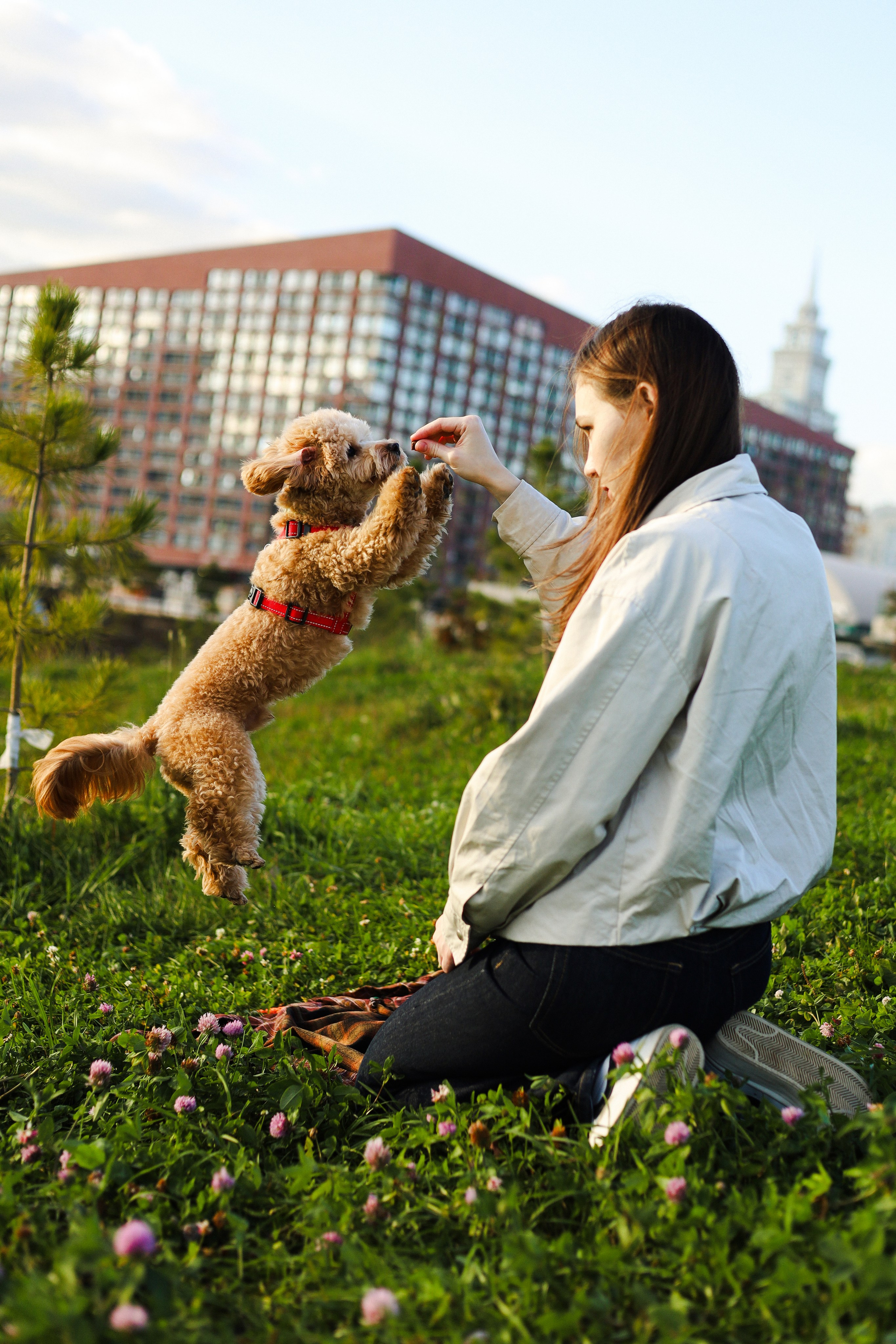 Поршик и Ксения. Фотограф-анималист Ксения Шевцова|Москва