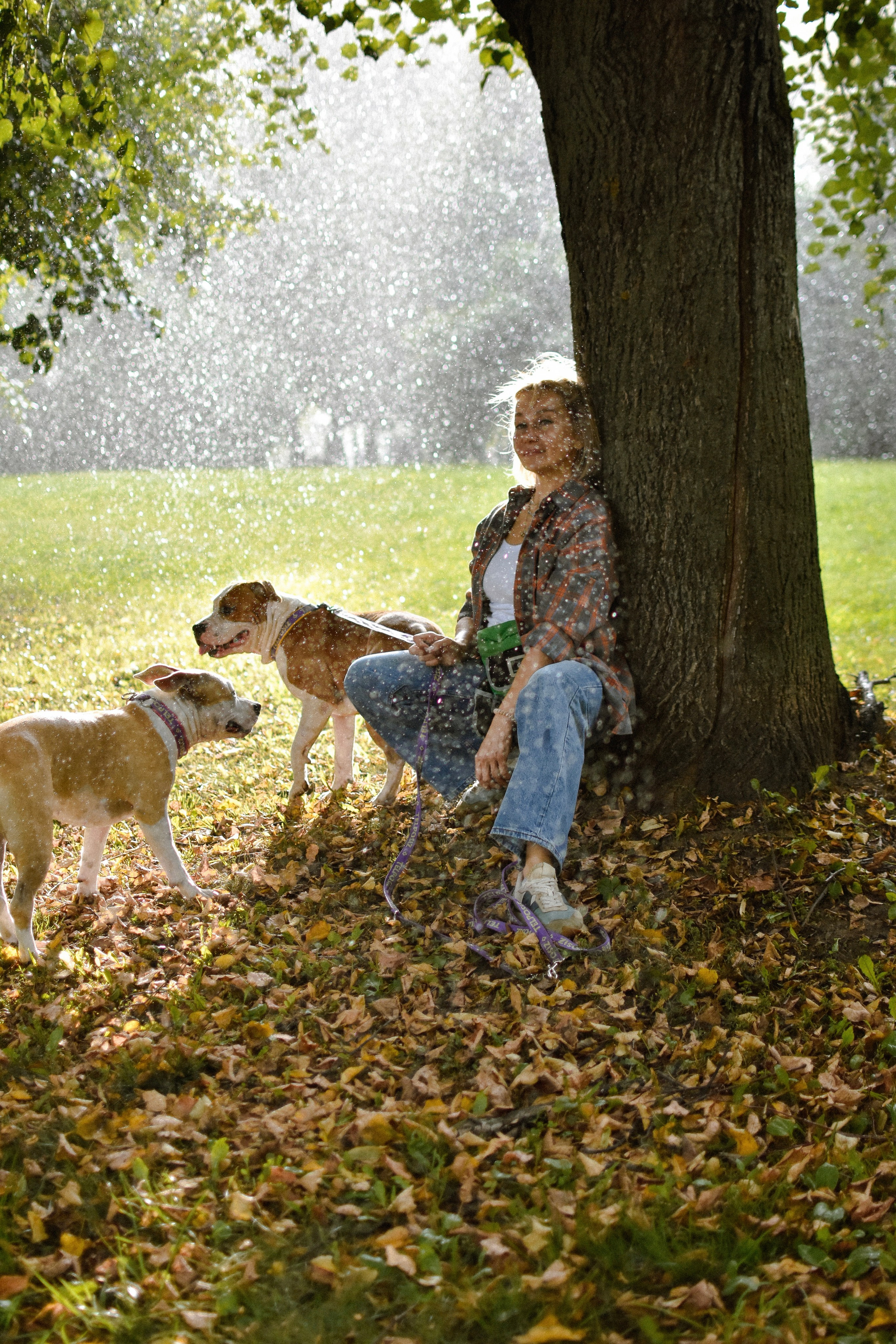 Стив, Стеша и Маша. Фотограф-анималист Ксения Шевцова|Москва