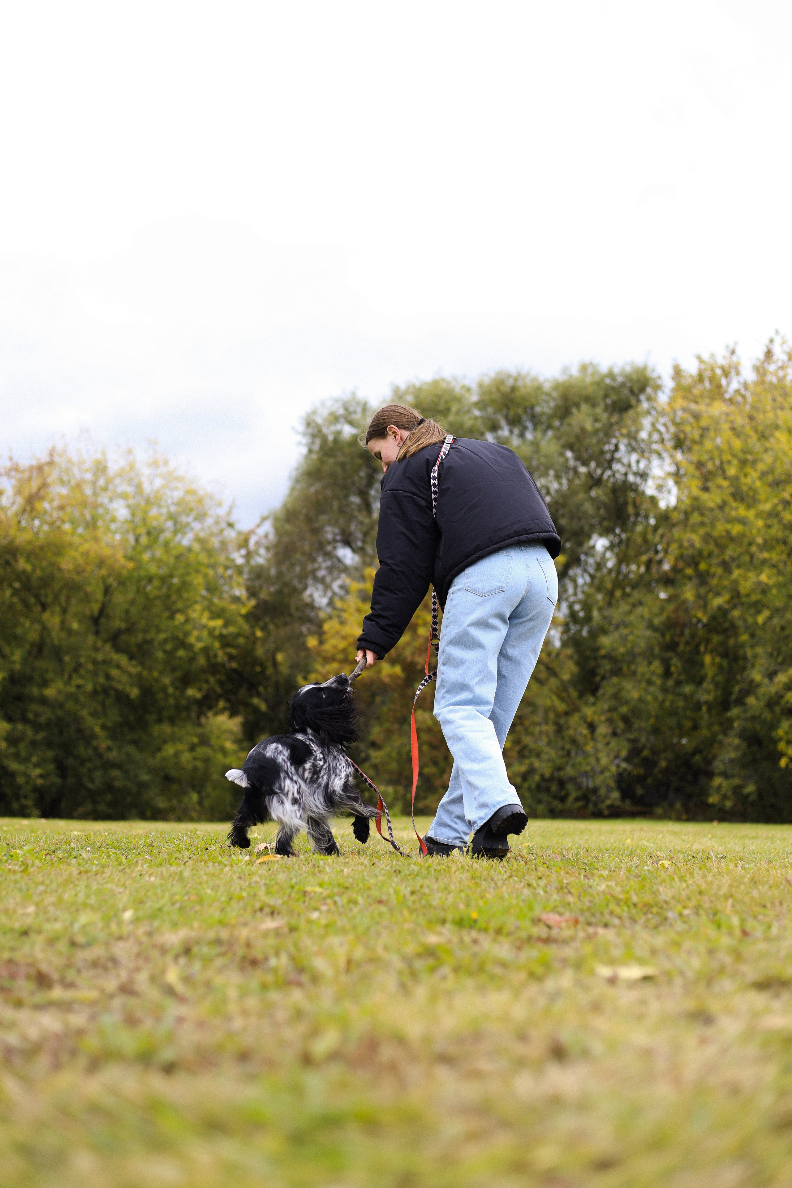 Милка, Вероника и Тимофей. Фотограф-анималист Ксения Шевцова|Москва