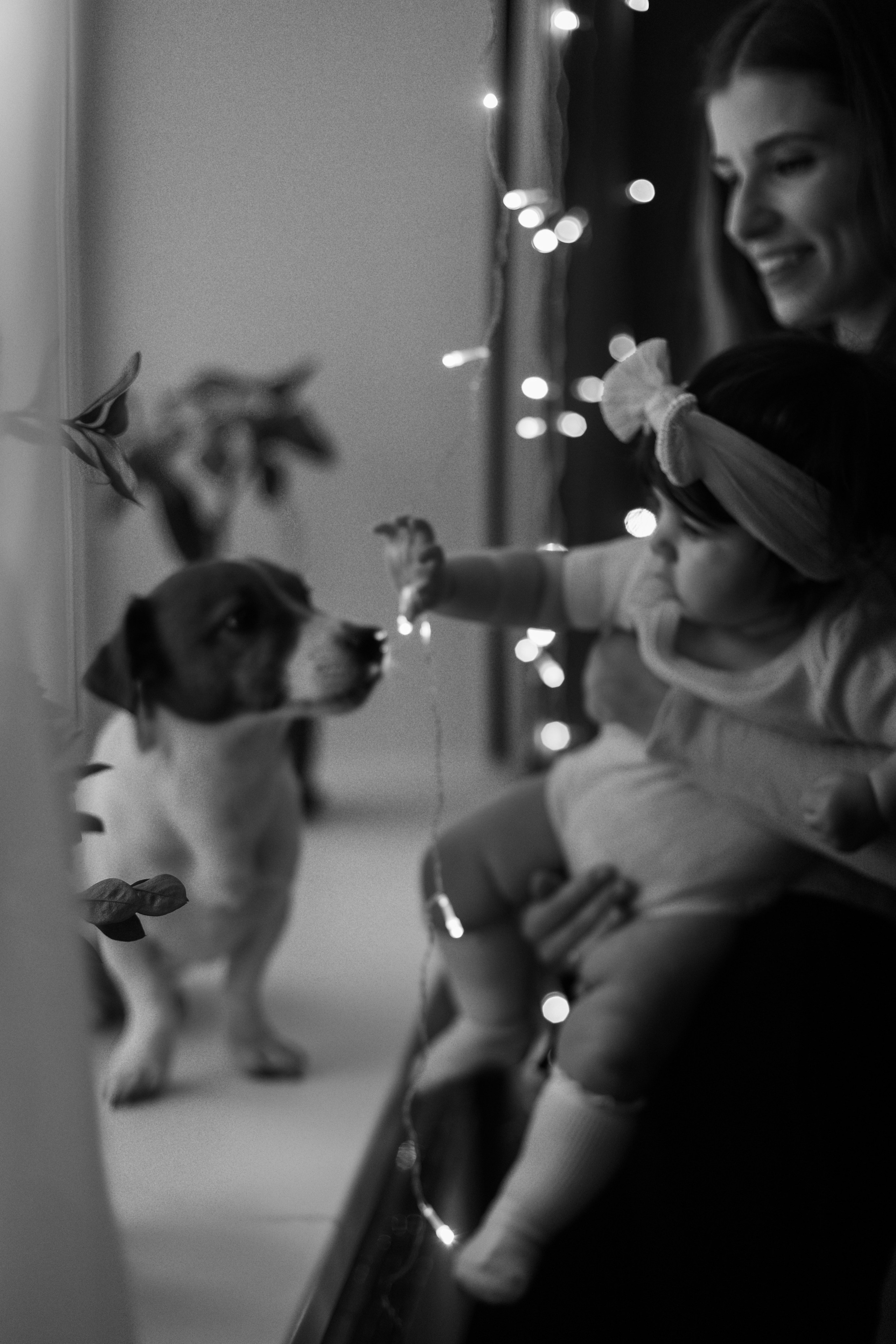 Джой и его семья. Фотограф — Анималист | Санкт-Петербург