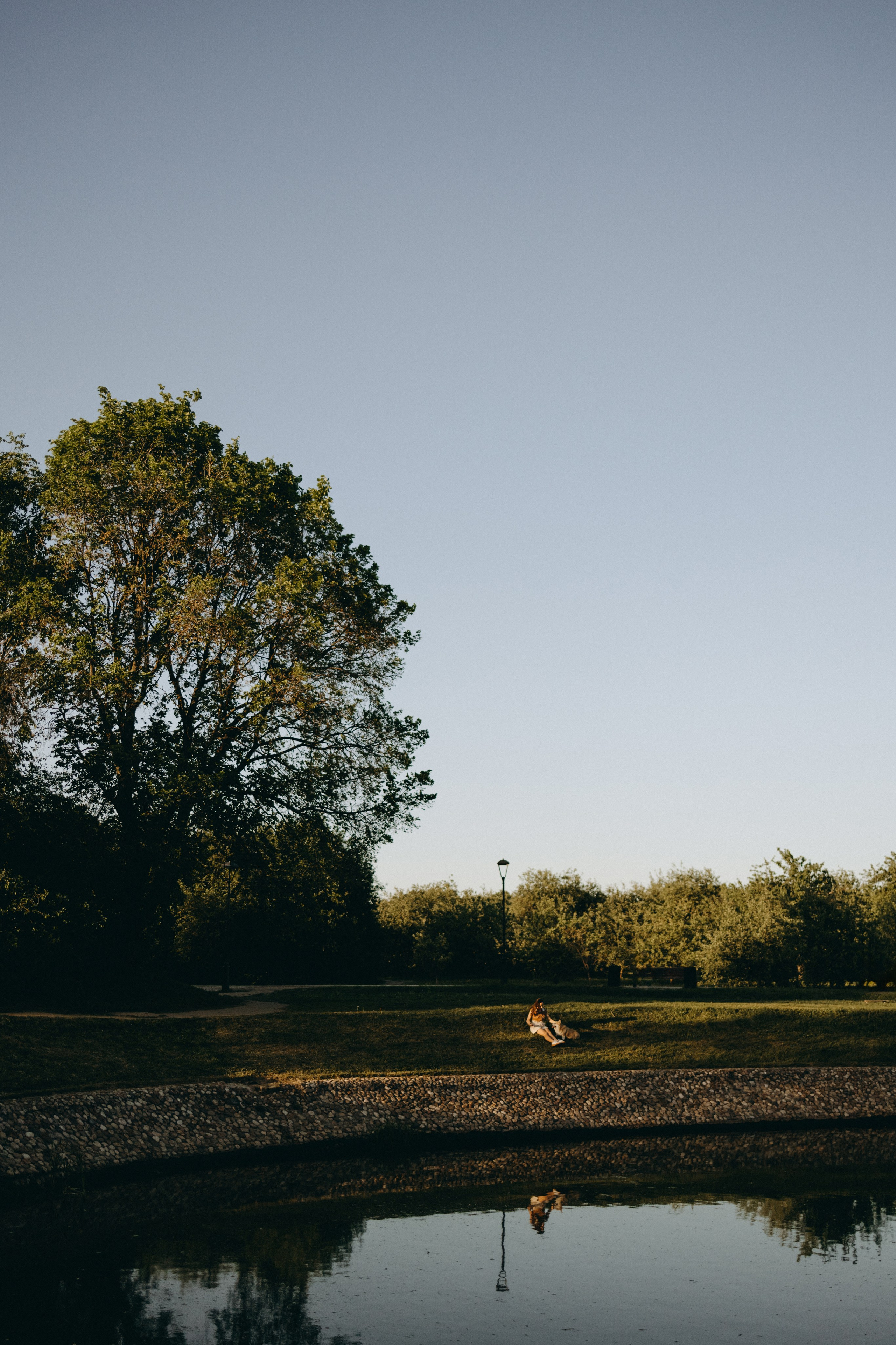 Кристина и Шелби. Фотограф — Анималист | Санкт-Петербург