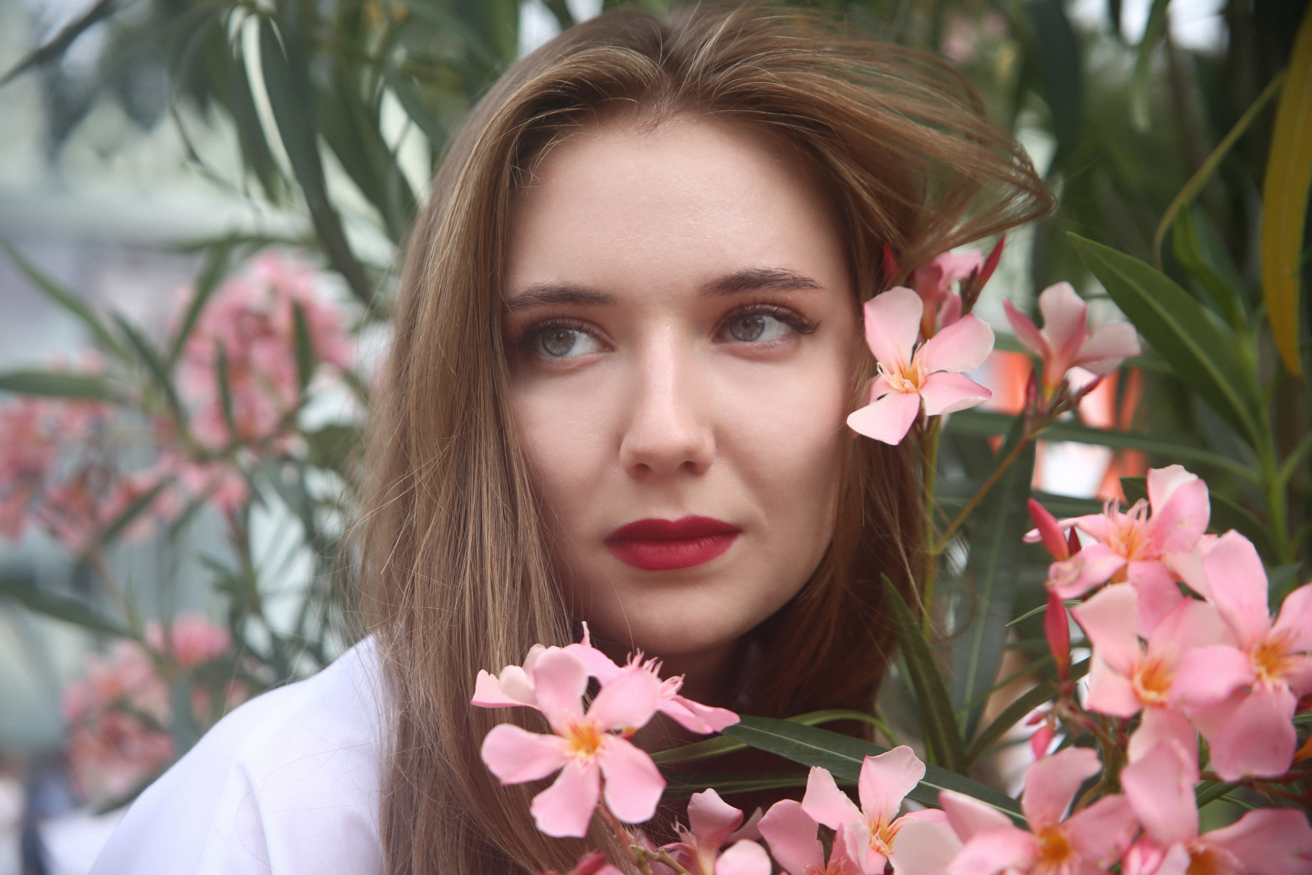 Красота и цветы