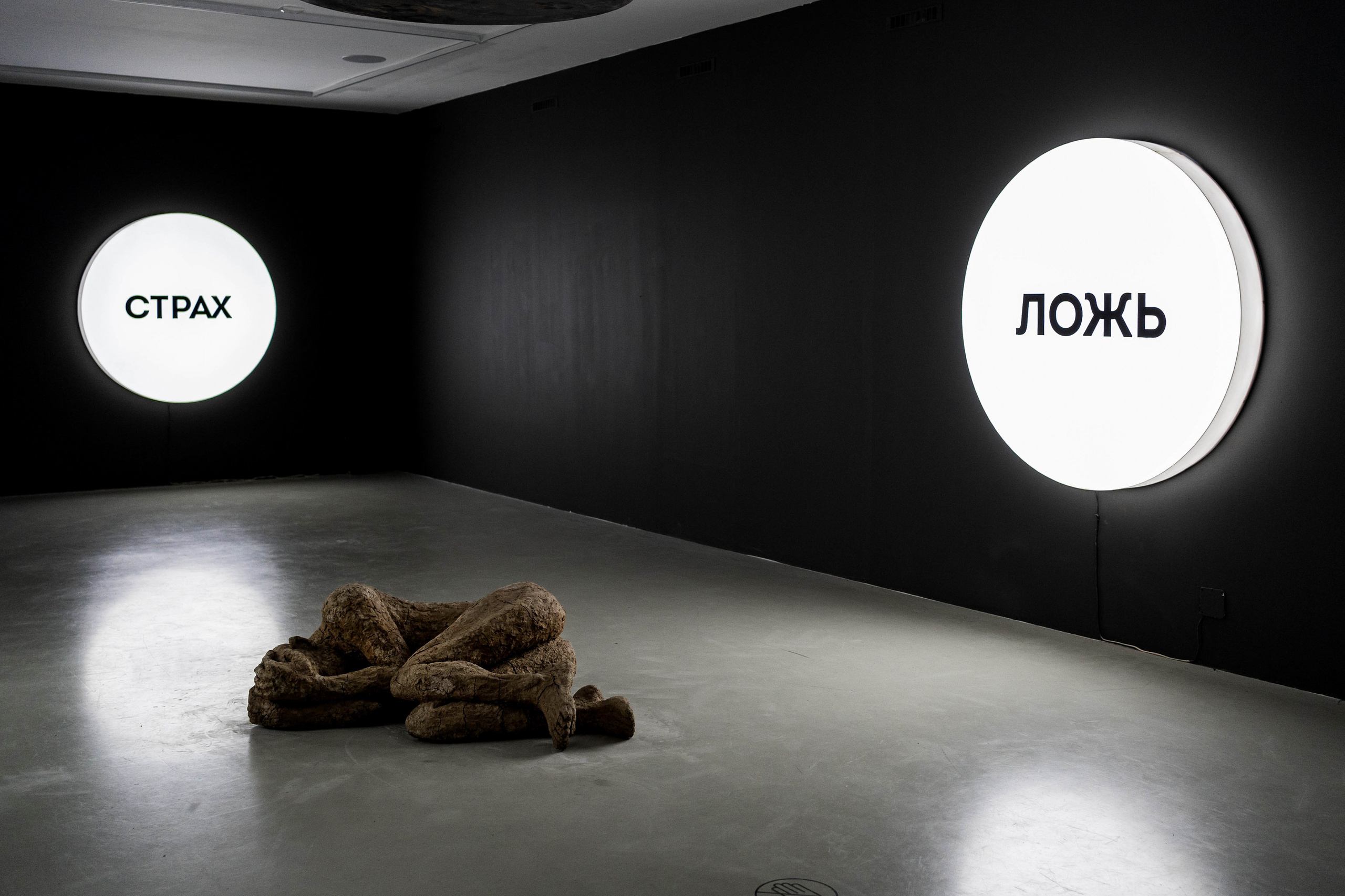 Выставки. Коммерческий фотограф в Санкт-Петербурге Ксения Максимова