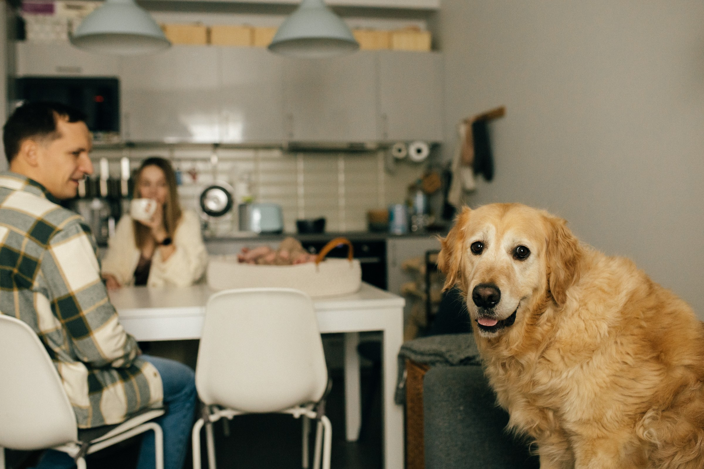Маленькое чудо. Ваш семейный фотограф в Москве и Московской области