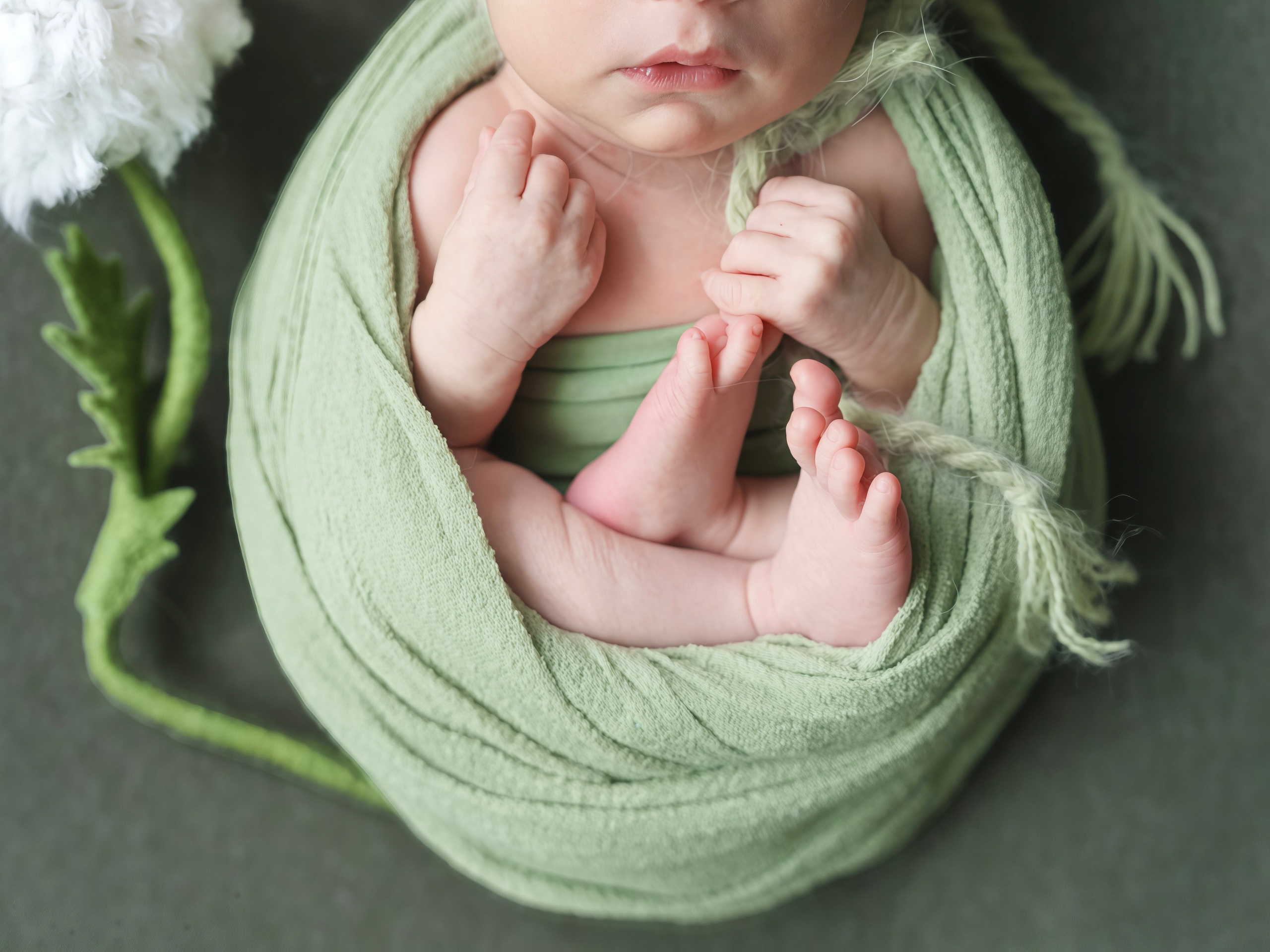 ✨. Профессиональный фотограф новорожденных Тверь