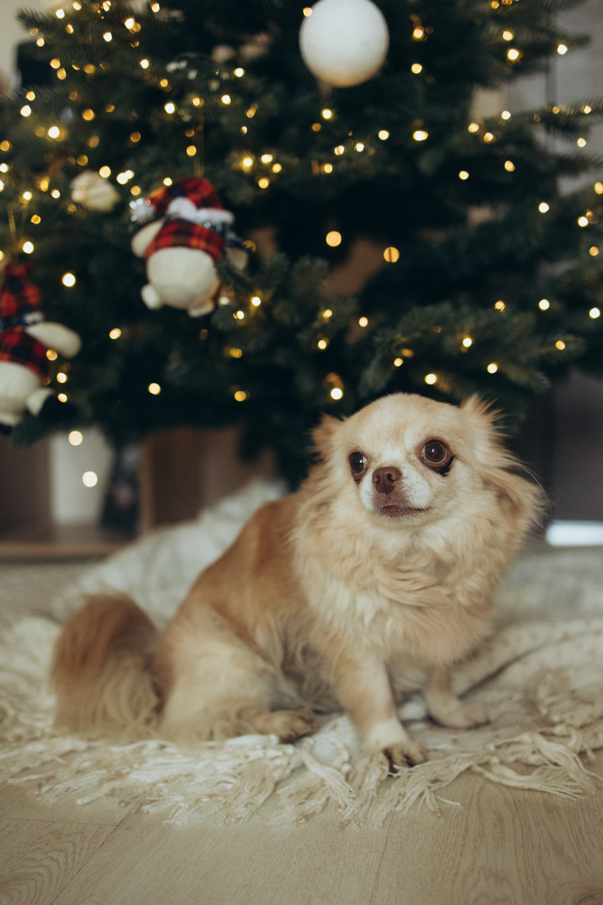 Эмилия и Демид. Семейный фотограф в Москве Виктория Ястребинская