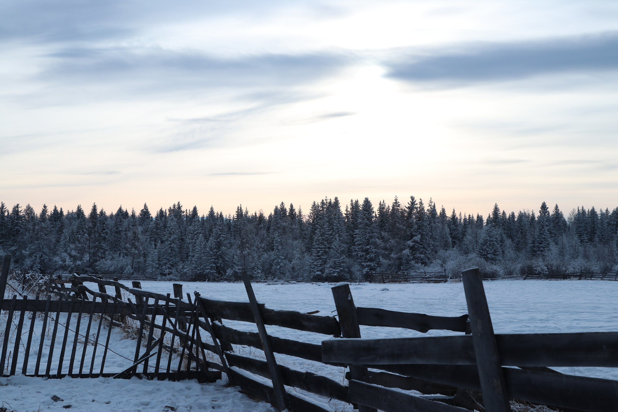 Аршан. Январь 2024. Путешественник-фотограф из Санкт-Петербурга Татьяна Свистулина