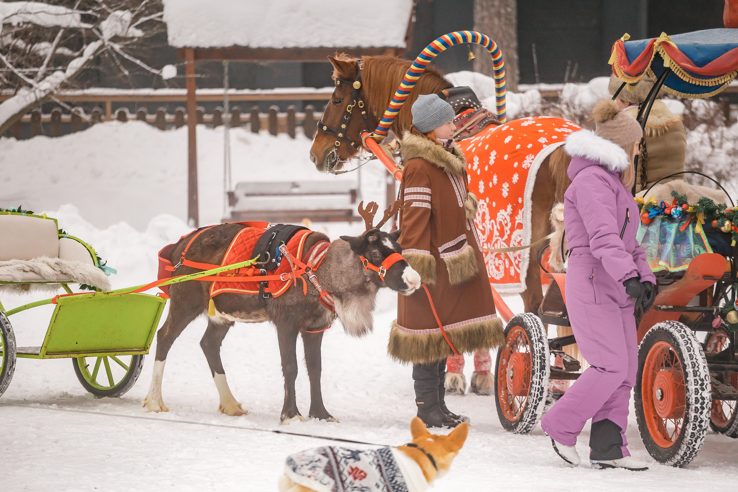 Разгуляй. Фотографиня Мария Дикова