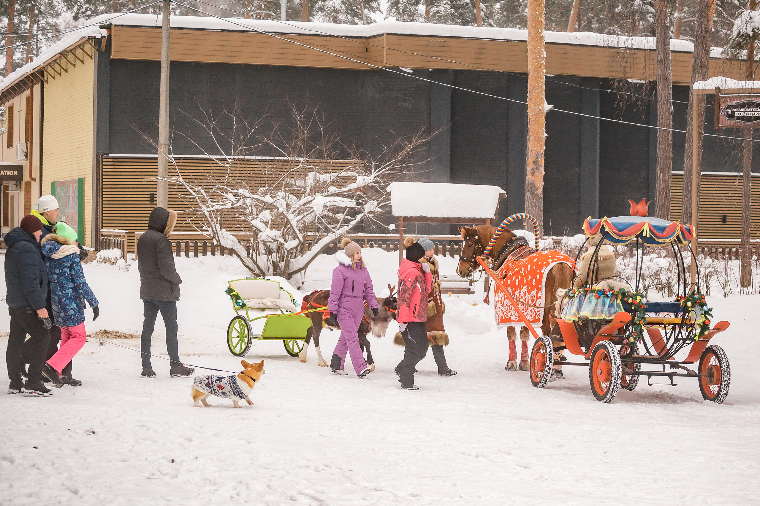 Разгуляй. Фотографиня Мария Дикова